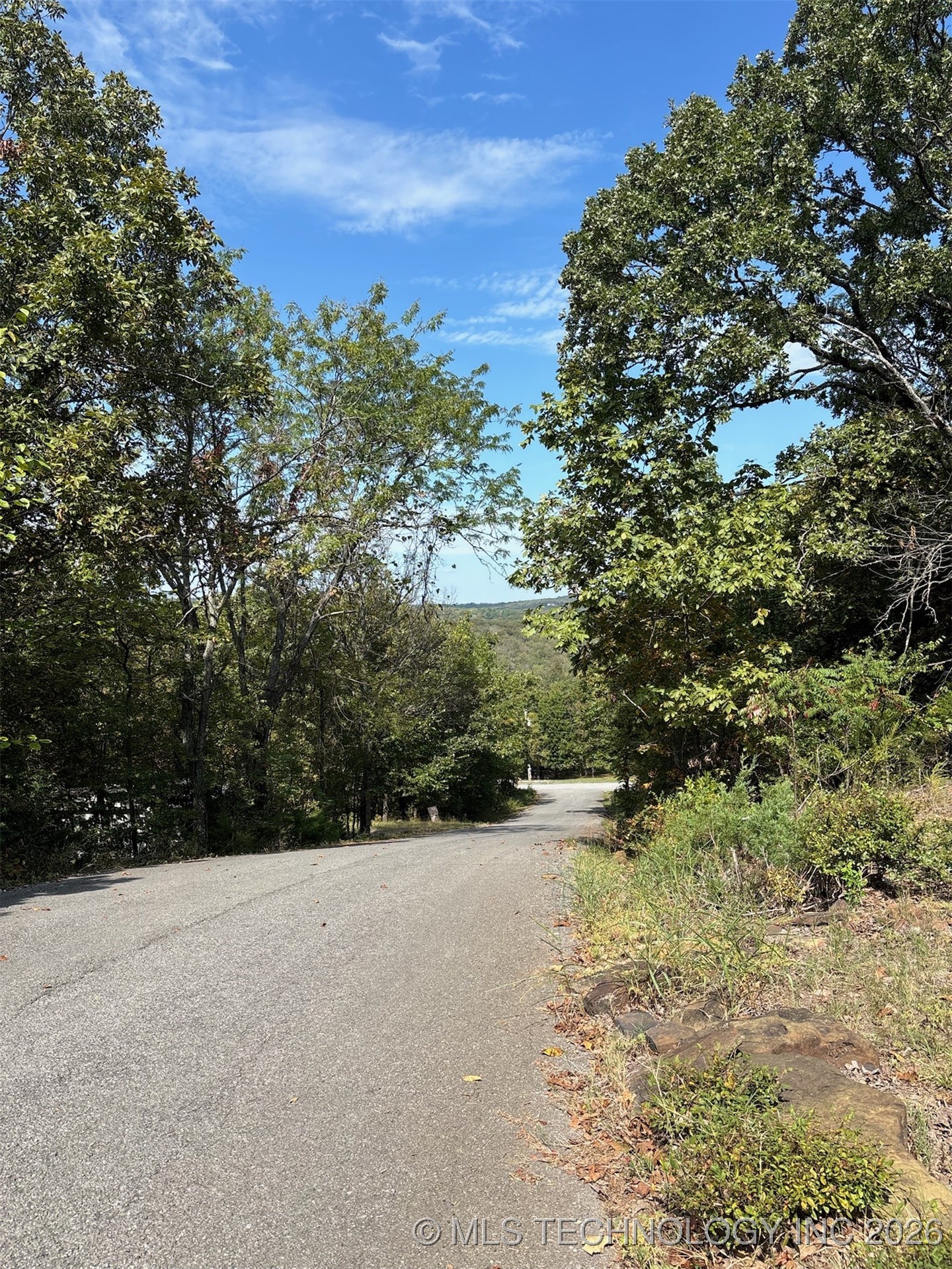 35708 S Fox Hill Road Property Photo 43