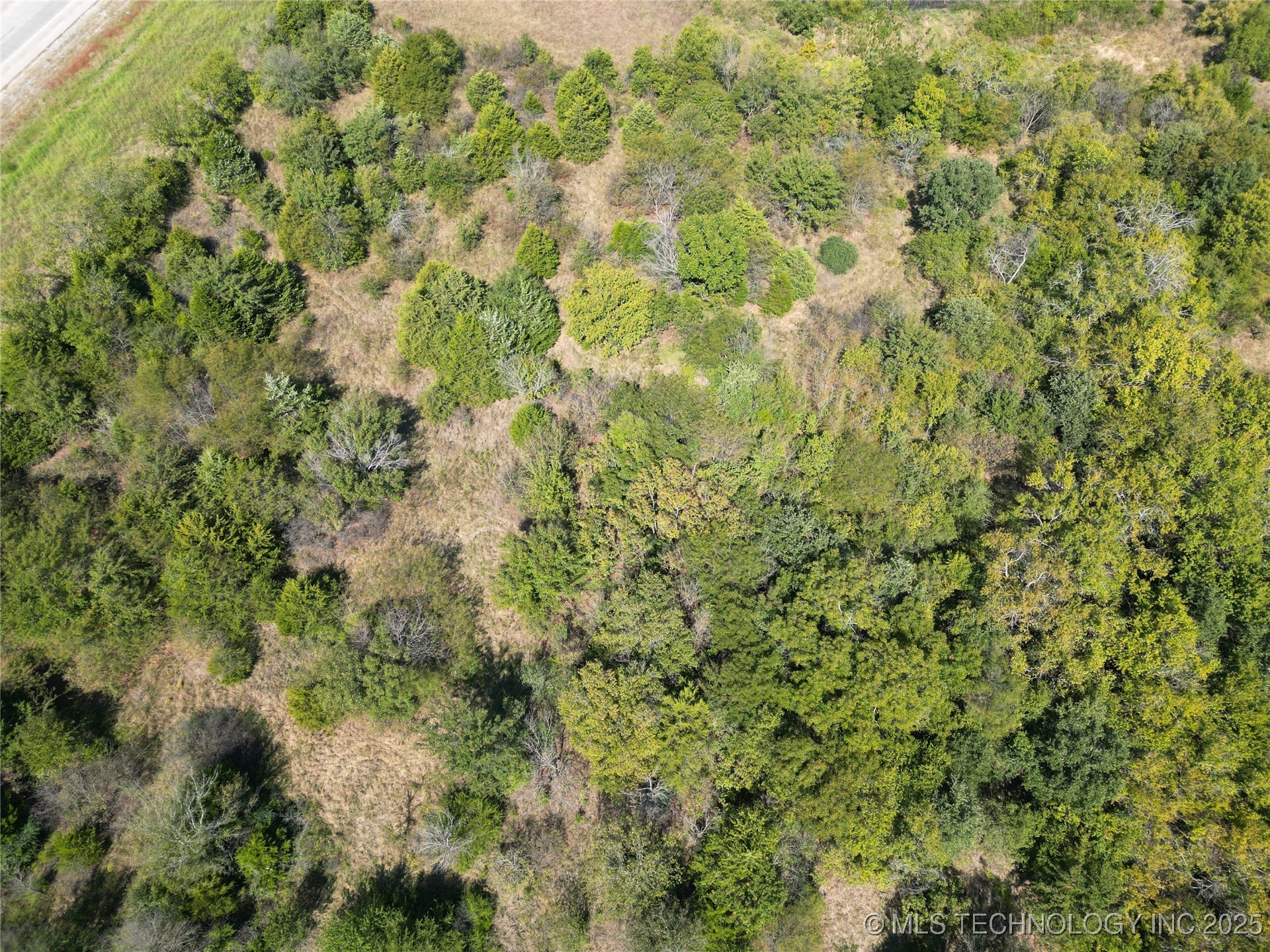 284 Songbird Trail Property Photo 45