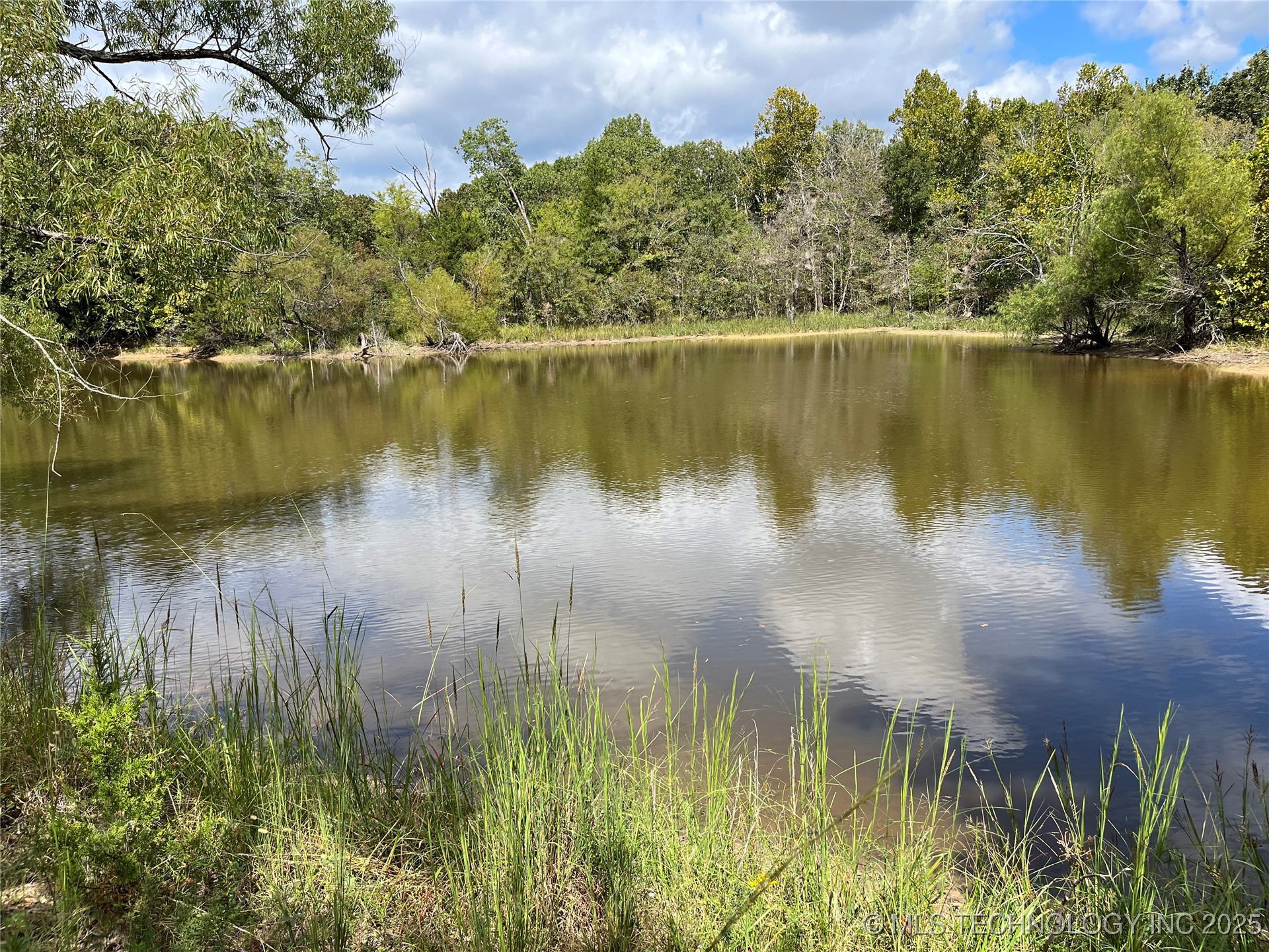 W County Road 3647 Road Property Photo 1