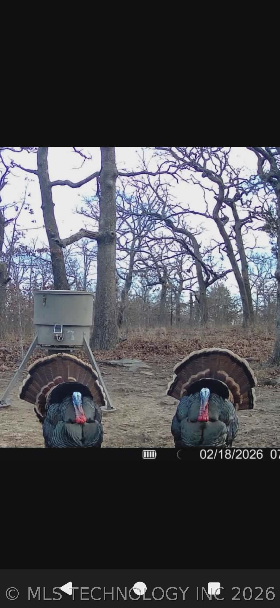 W County Road 3647 Road Property Photo 2