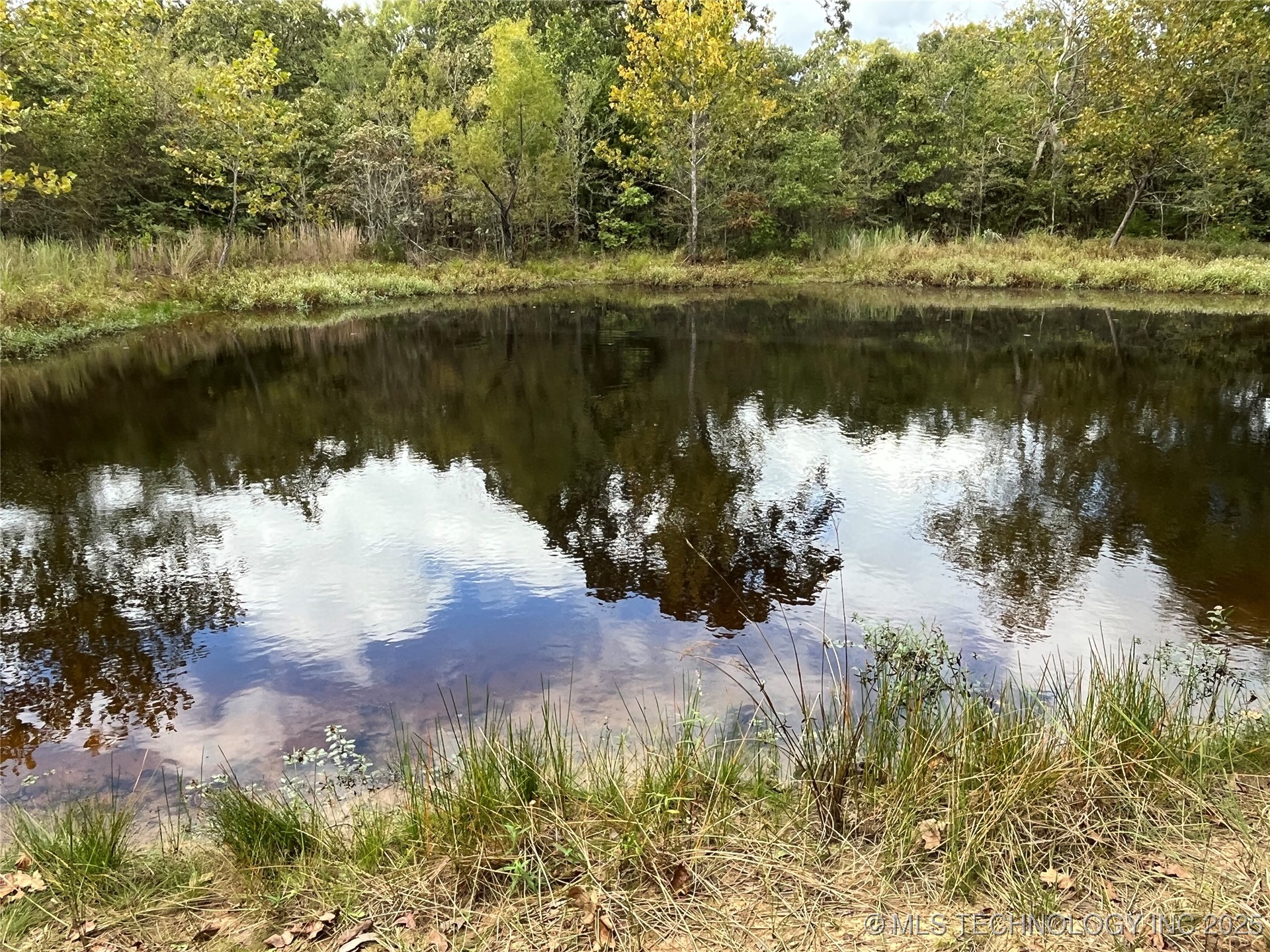 W County Road 3647 Road Property Photo 3