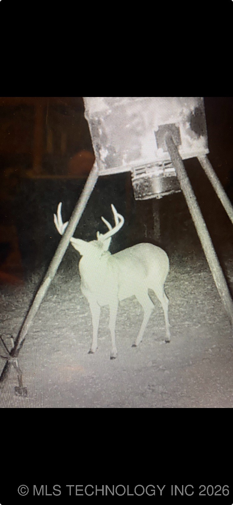 W County Road 3647 Road Property Photo 6