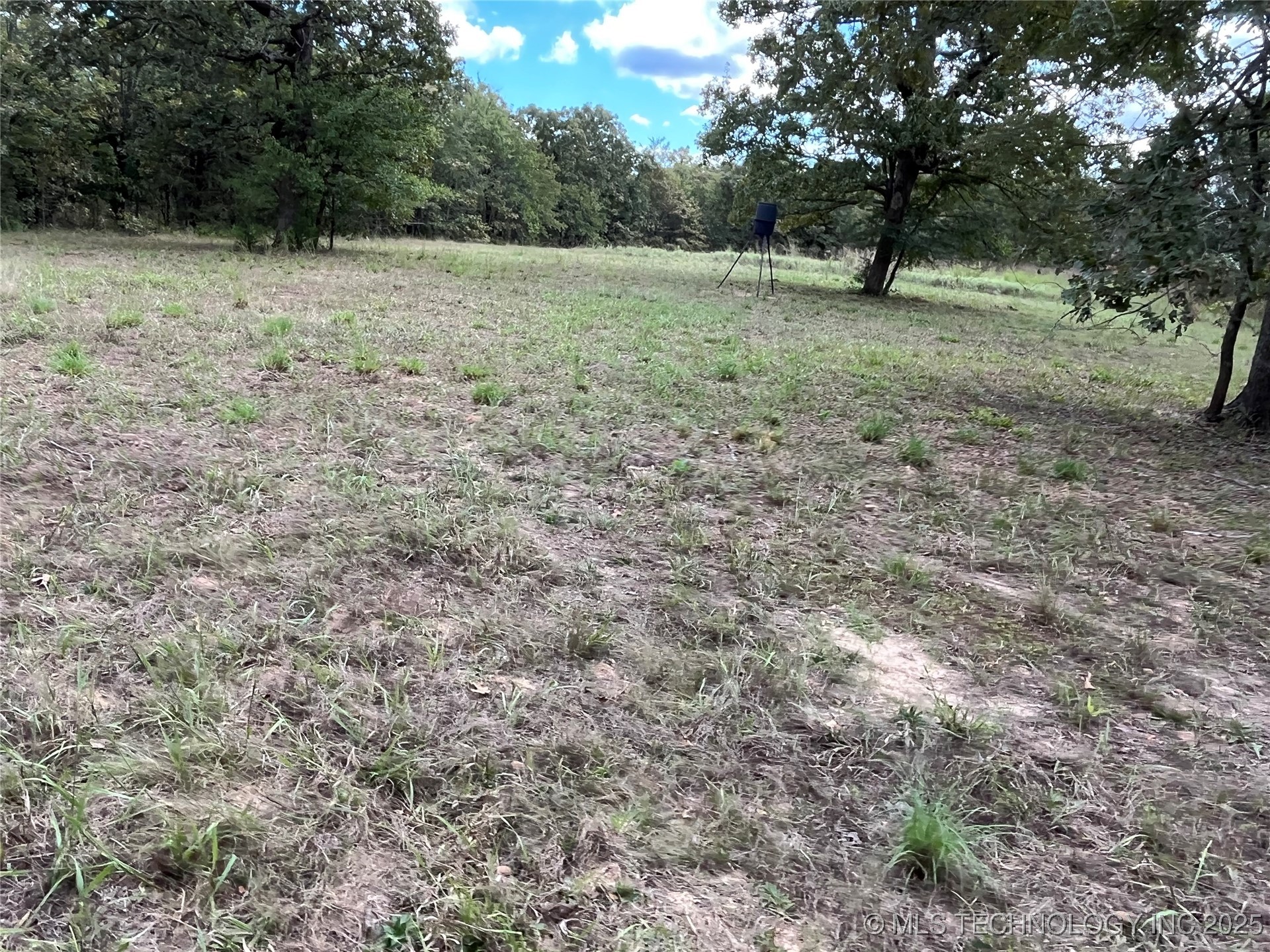 W County Road 3647 Road Property Photo 12