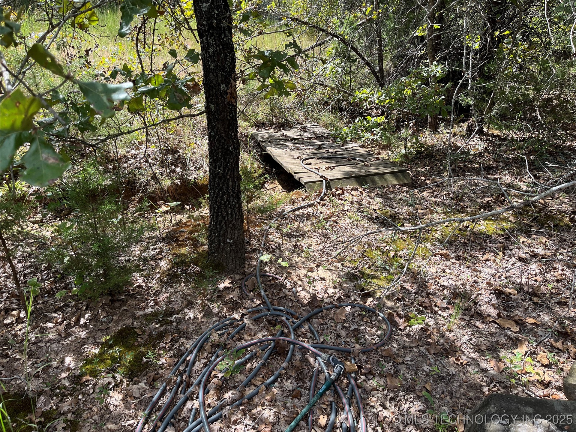 W County Road 3647 Road Property Photo 13