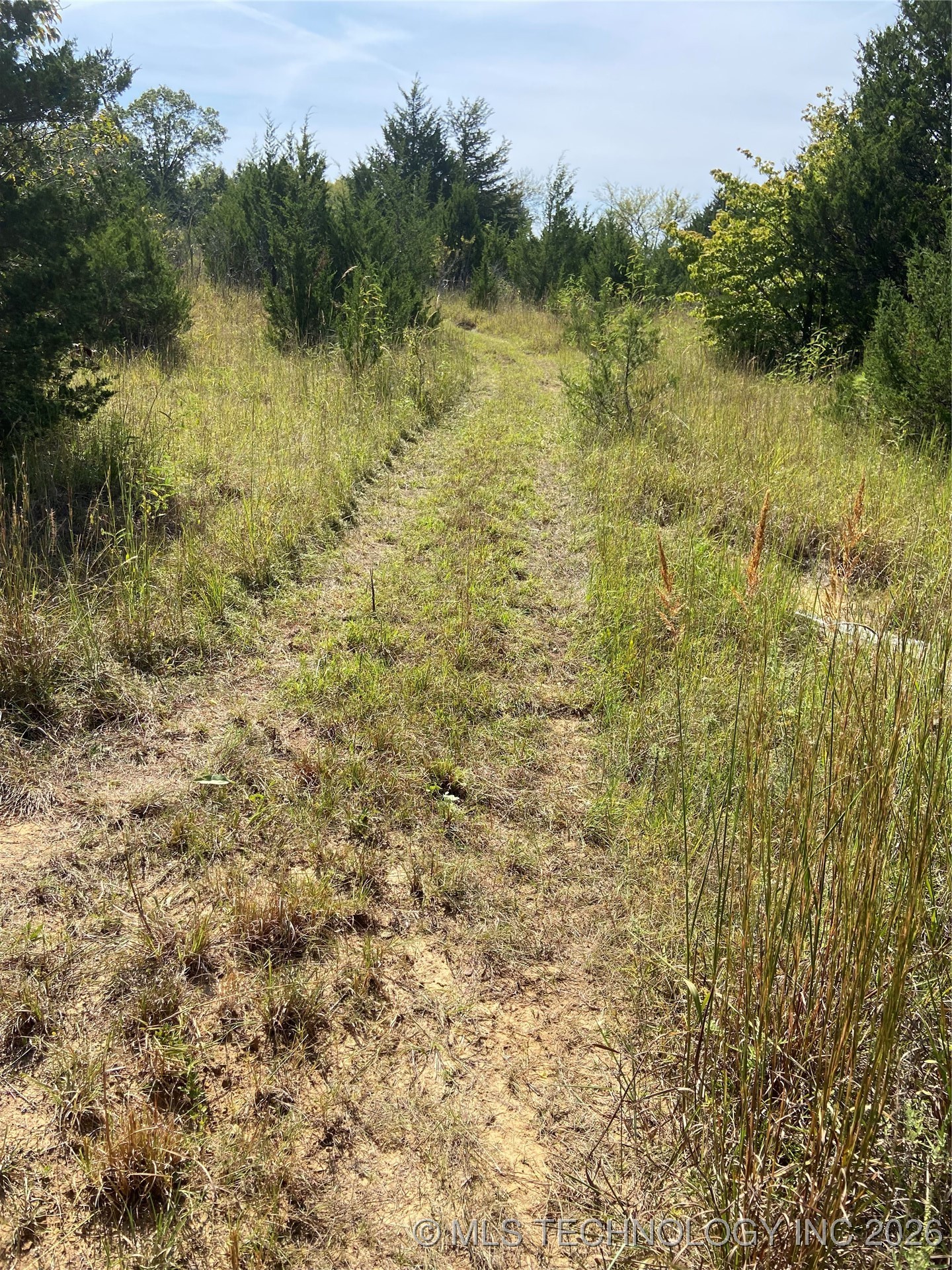 W County Road 3647 Road Property Photo 18