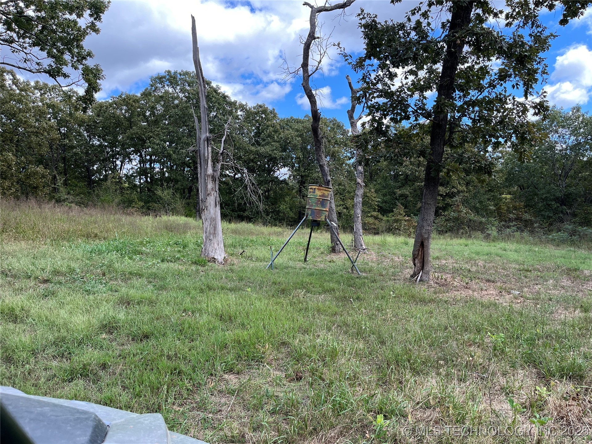 W County Road 3647 Road Property Photo 19