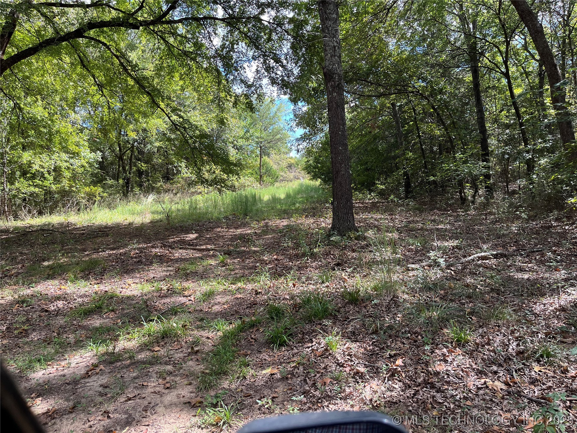 W County Road 3647 Road Property Photo 21