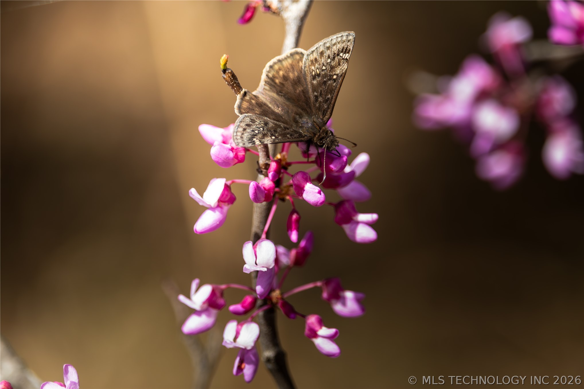 W County Road 3647 Road Property Photo 32