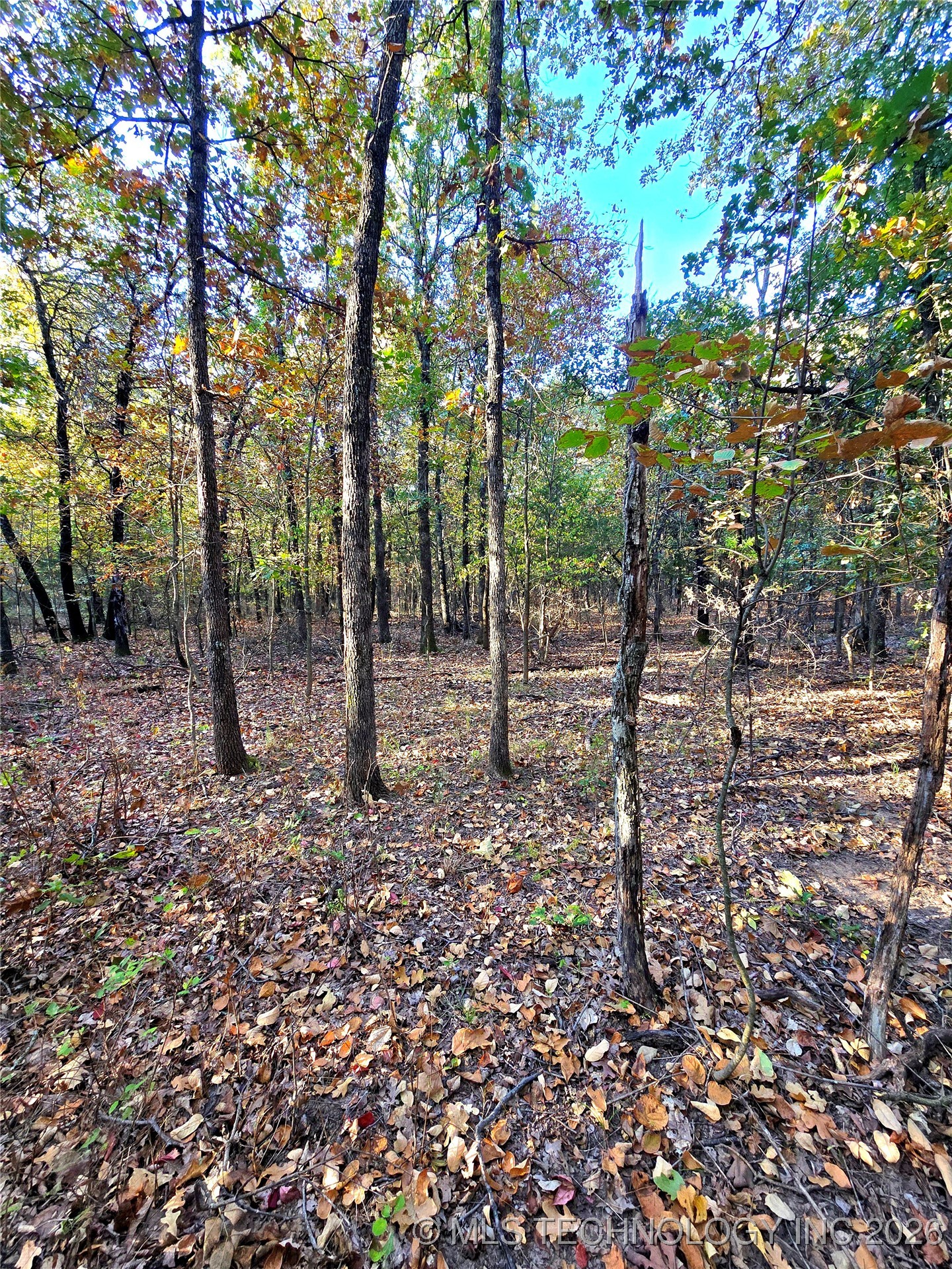 Rock Creek Road Property Photo 2