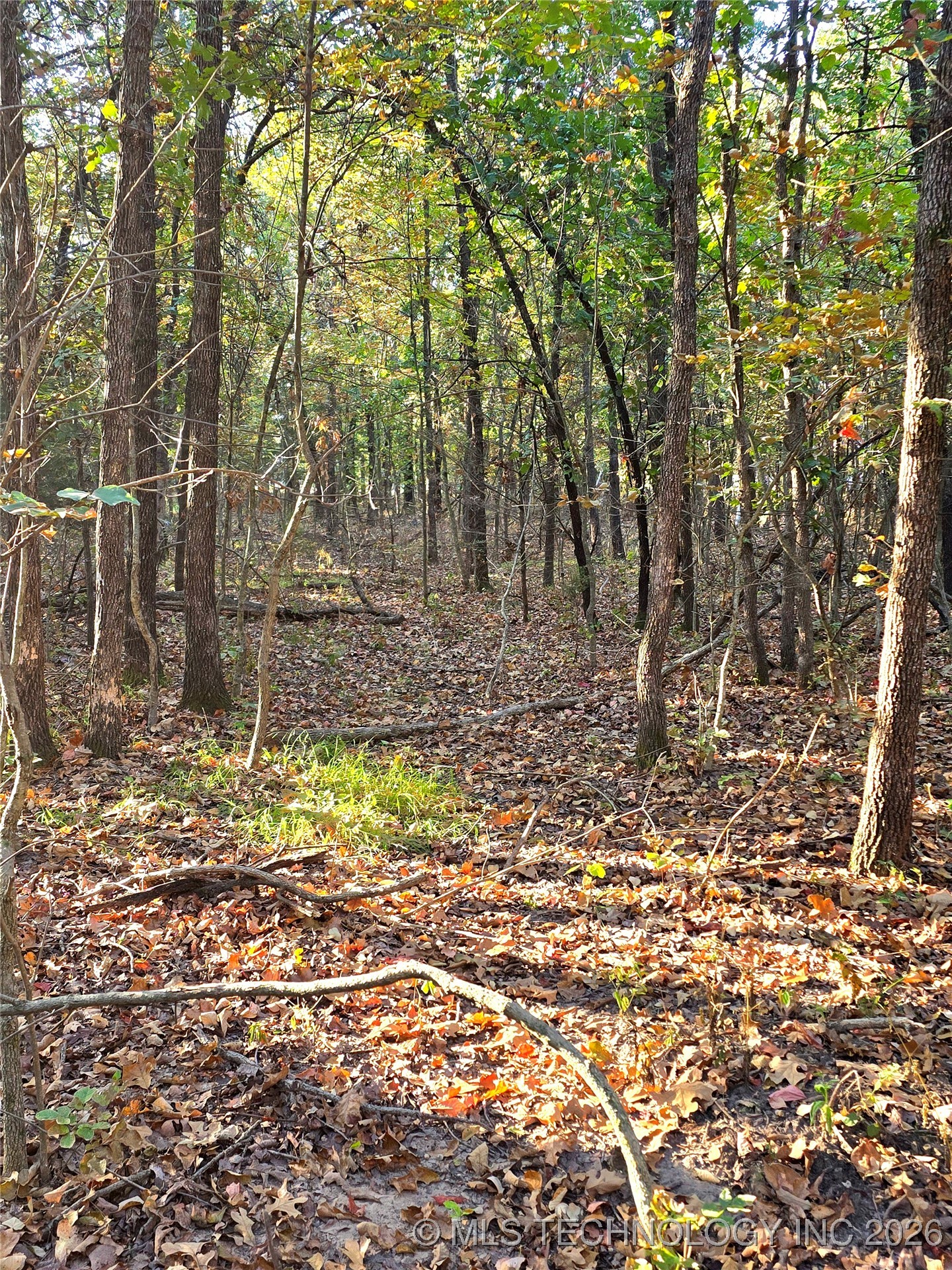 Rock Creek Road Property Photo 3