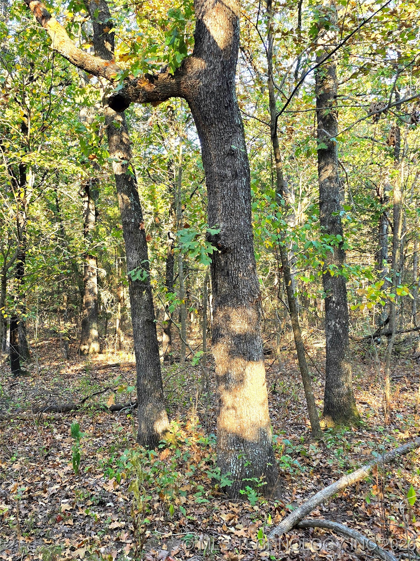 Rock Creek Road Property Photo 4