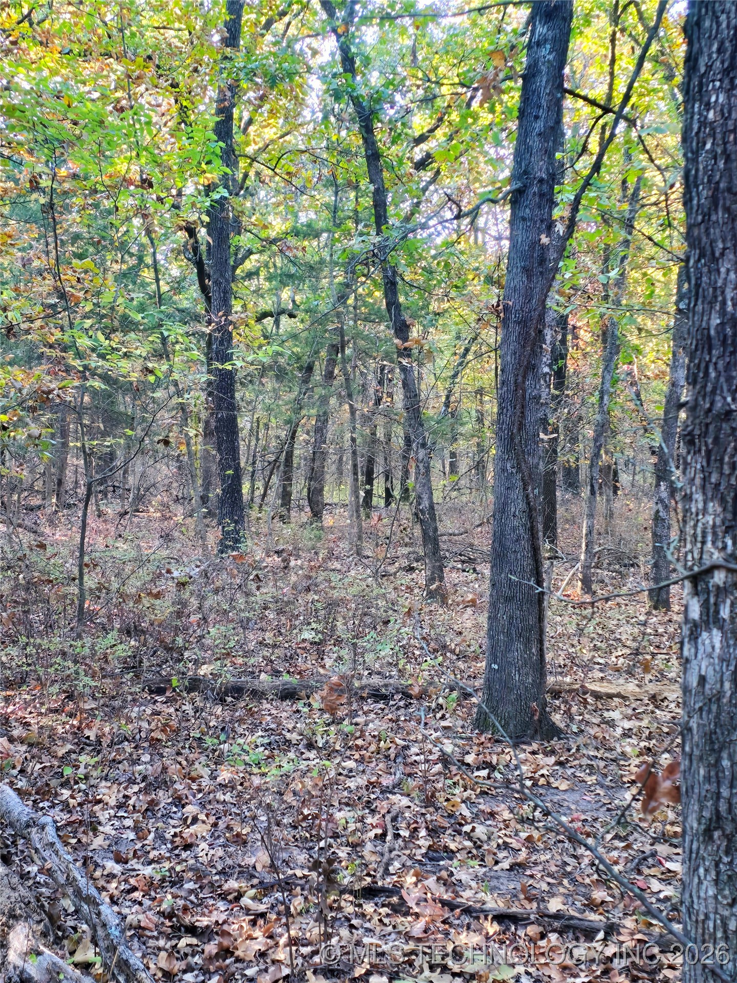 Rock Creek Road Property Photo 5