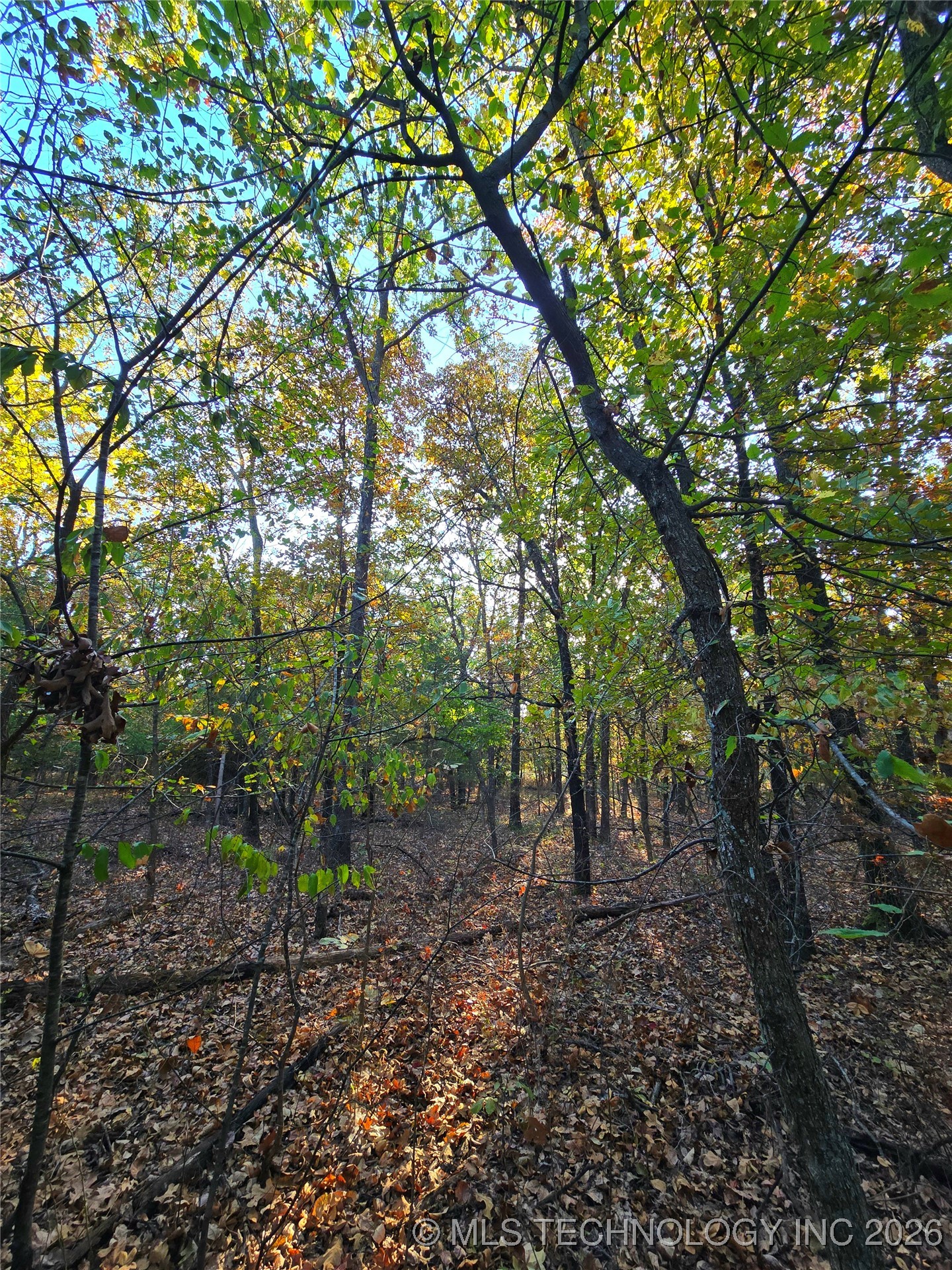 Rock Creek Road Property Photo 6