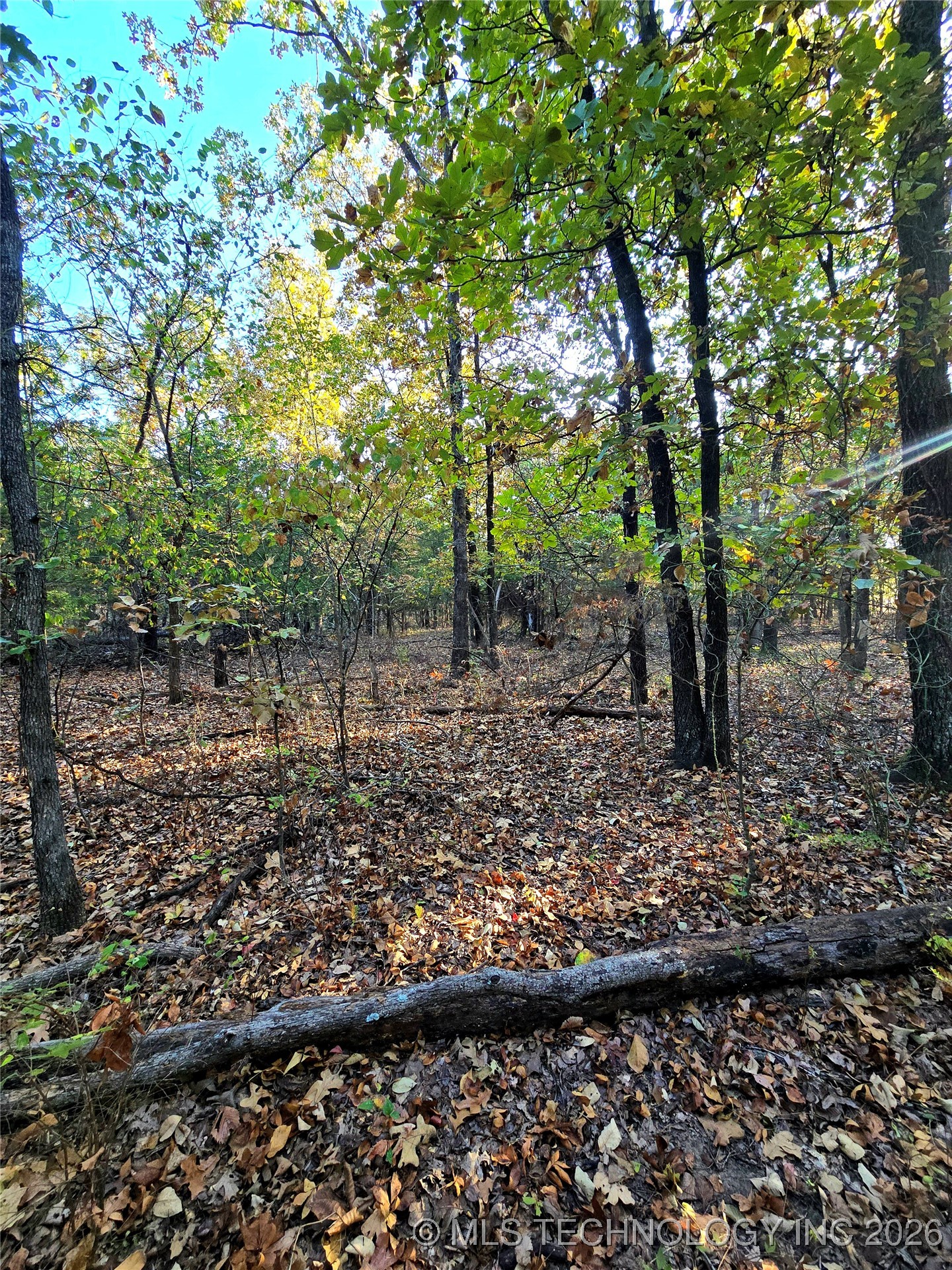 Rock Creek Road Property Photo 7