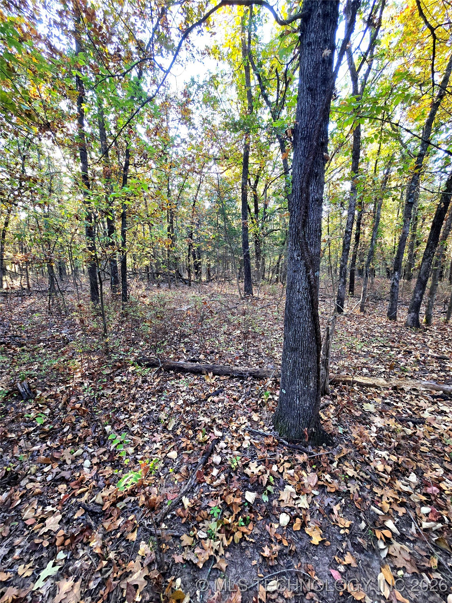 Rock Creek Road Property Photo 8