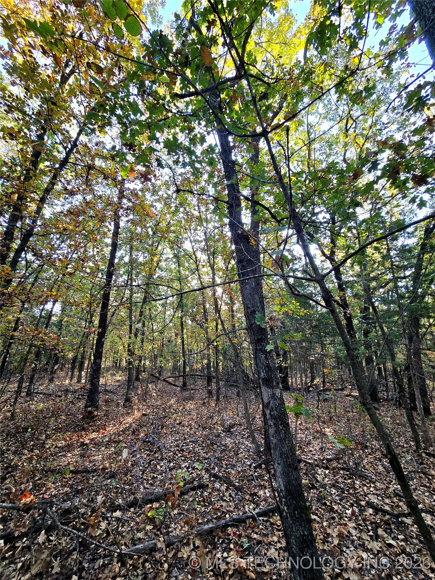 Rock Creek Road Property Photo 9