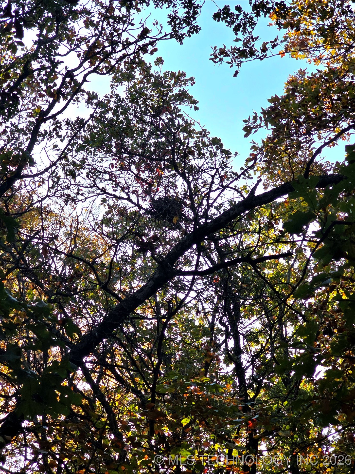 Rock Creek Road Property Photo 10