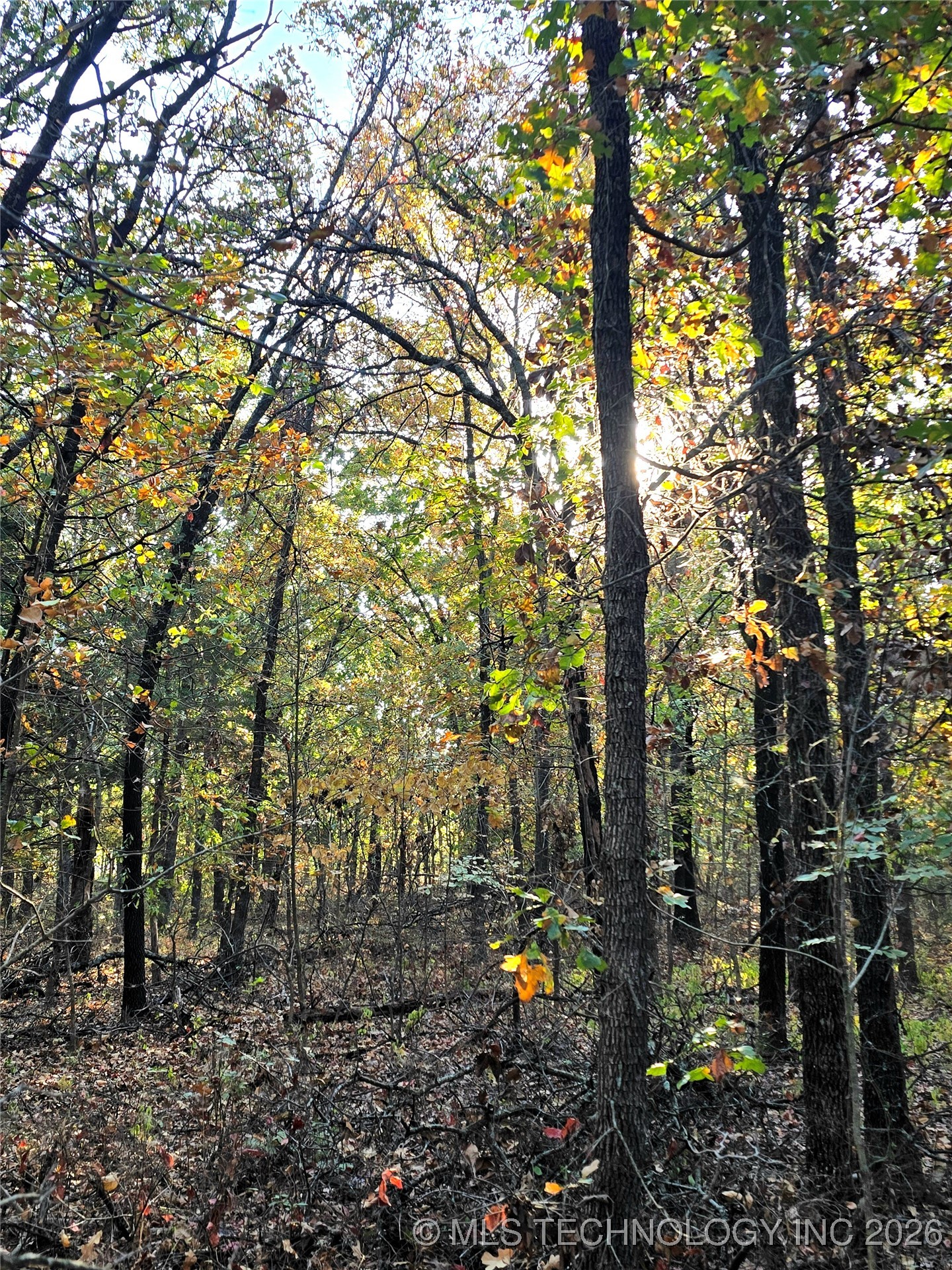 Rock Creek Road Property Photo 11