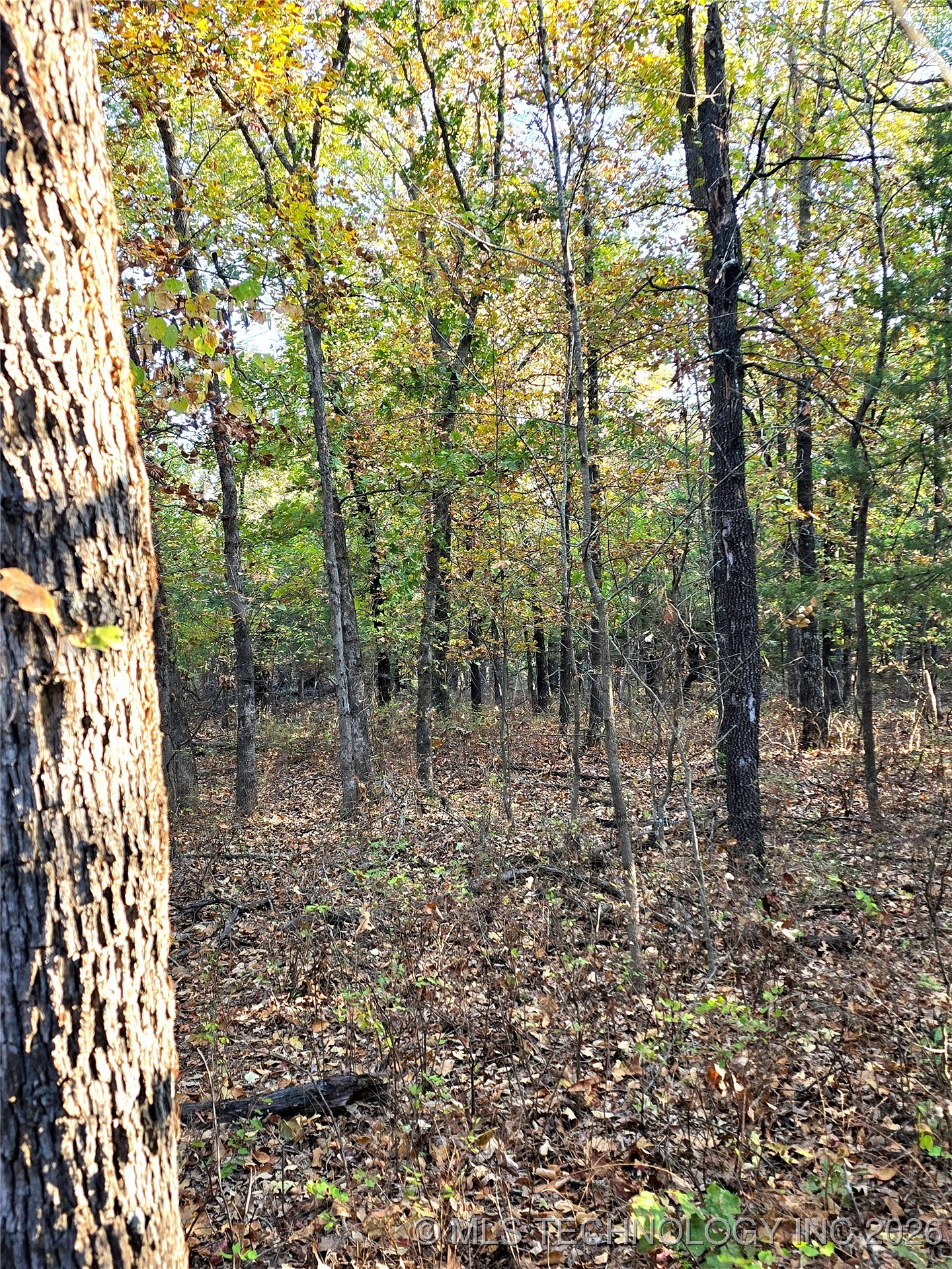 Rock Creek Road Property Photo 12