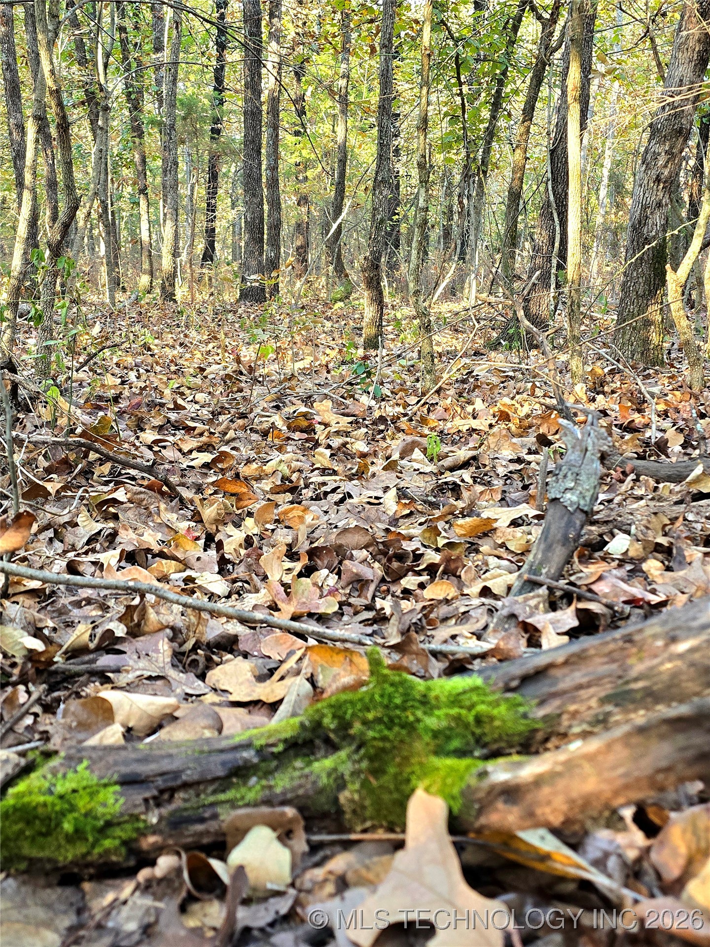 Rock Creek Road Property Photo 13