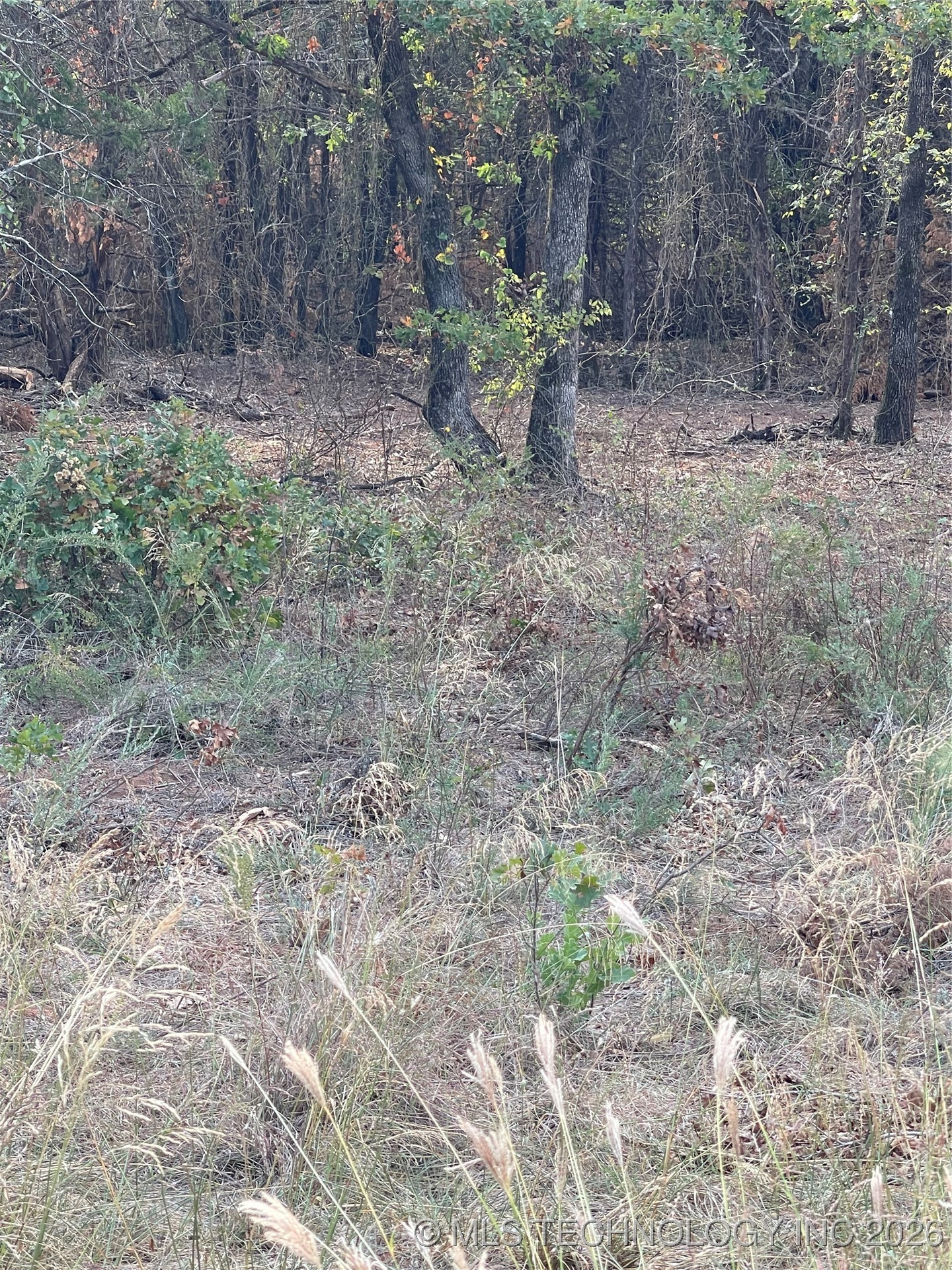 2603 S Mckenzie Property Photo 2