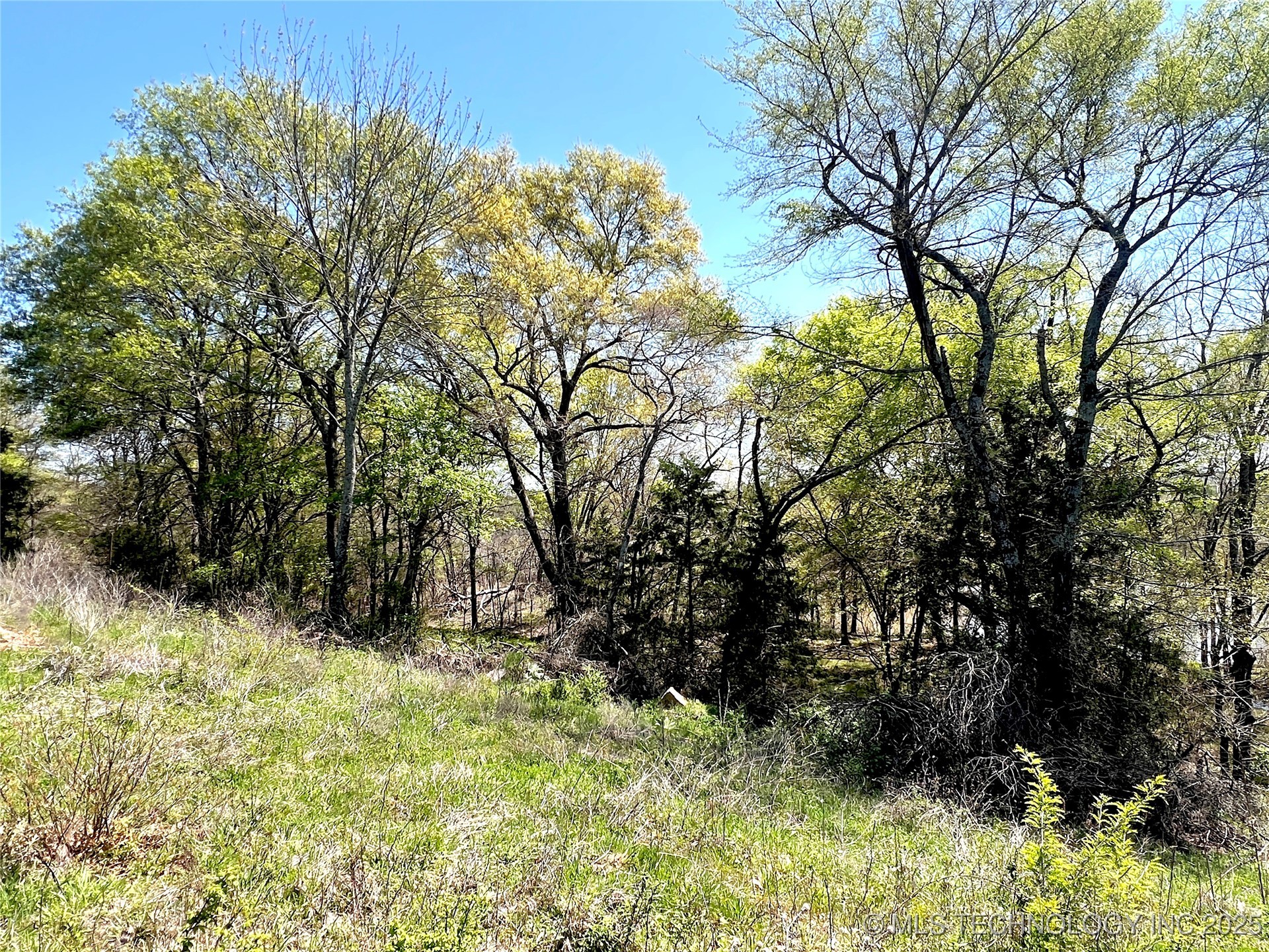 220 Willow Lane Property Photo 38