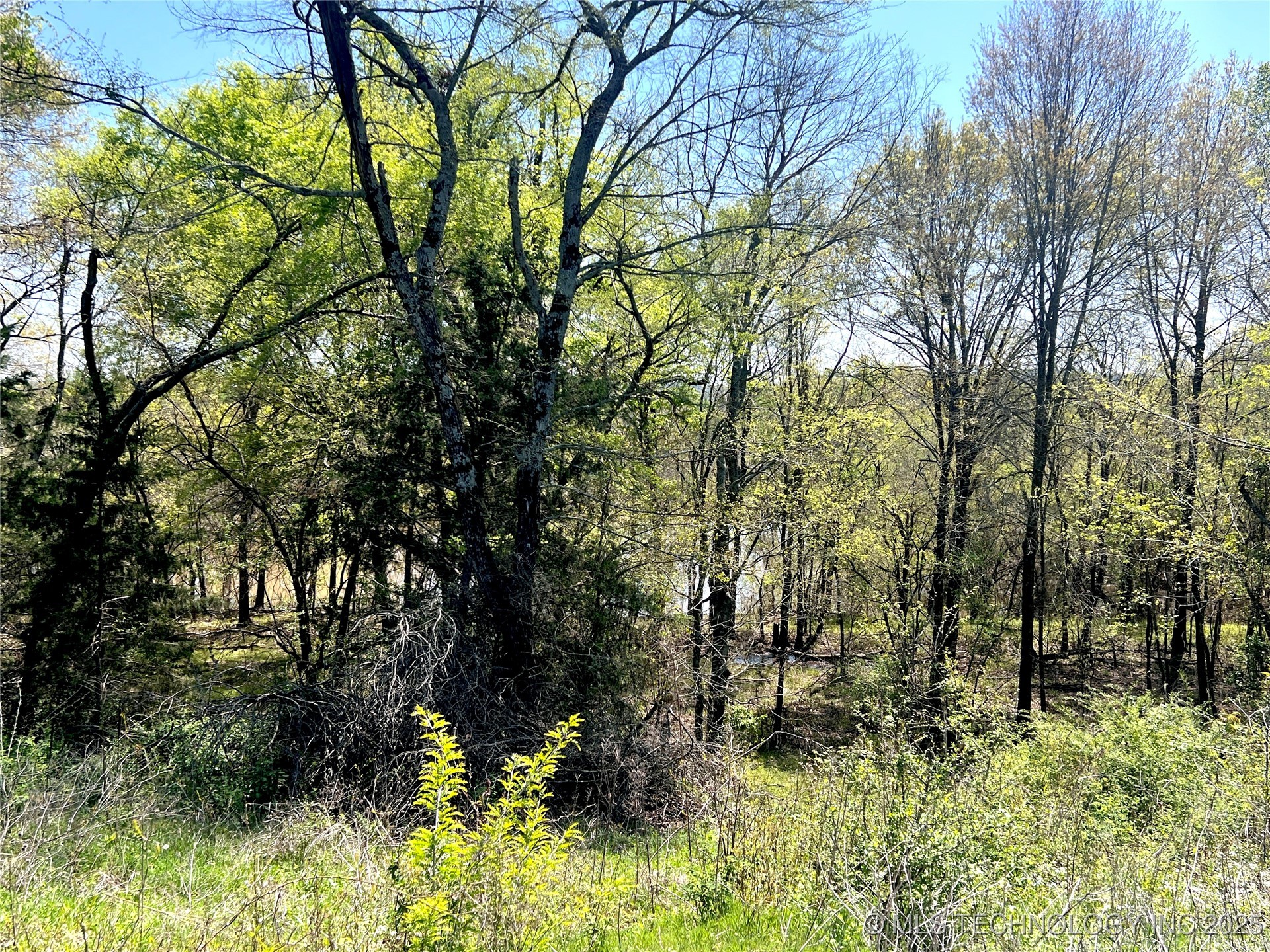 220 Willow Lane Property Photo 40