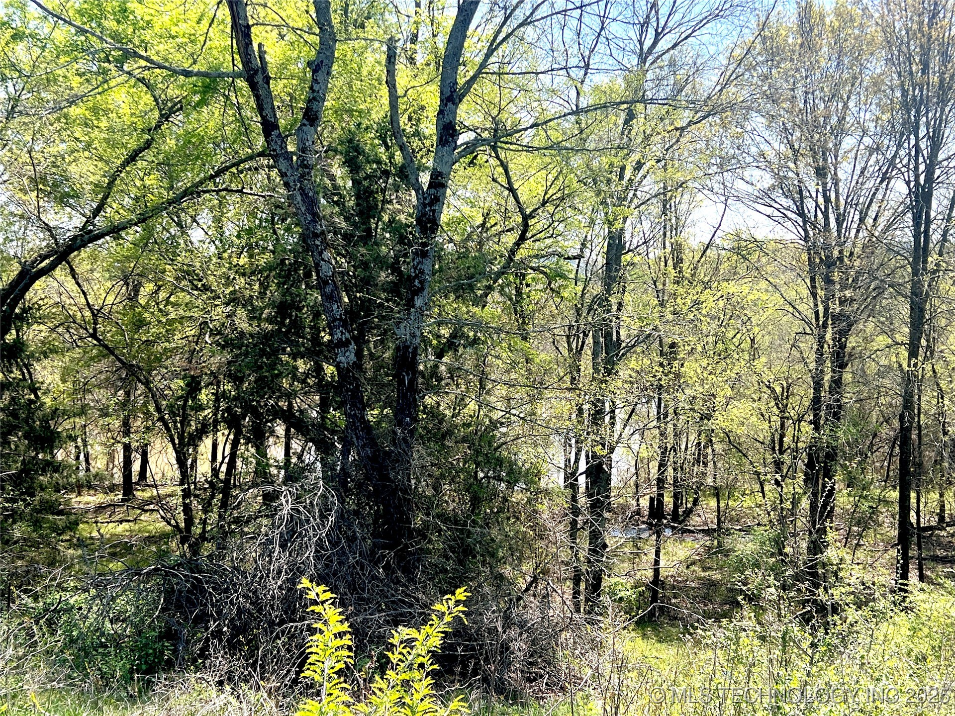 220 Willow Lane Property Photo 41