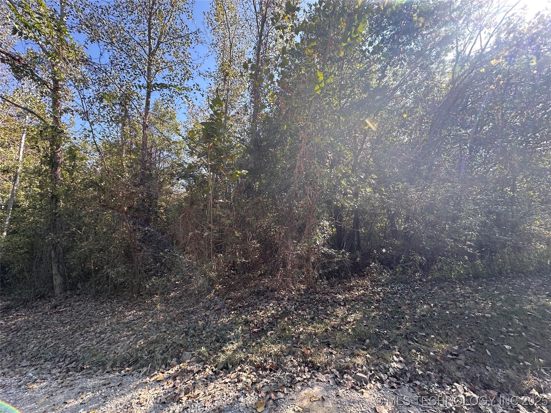 0000 W 311th Street S Property Photo 5