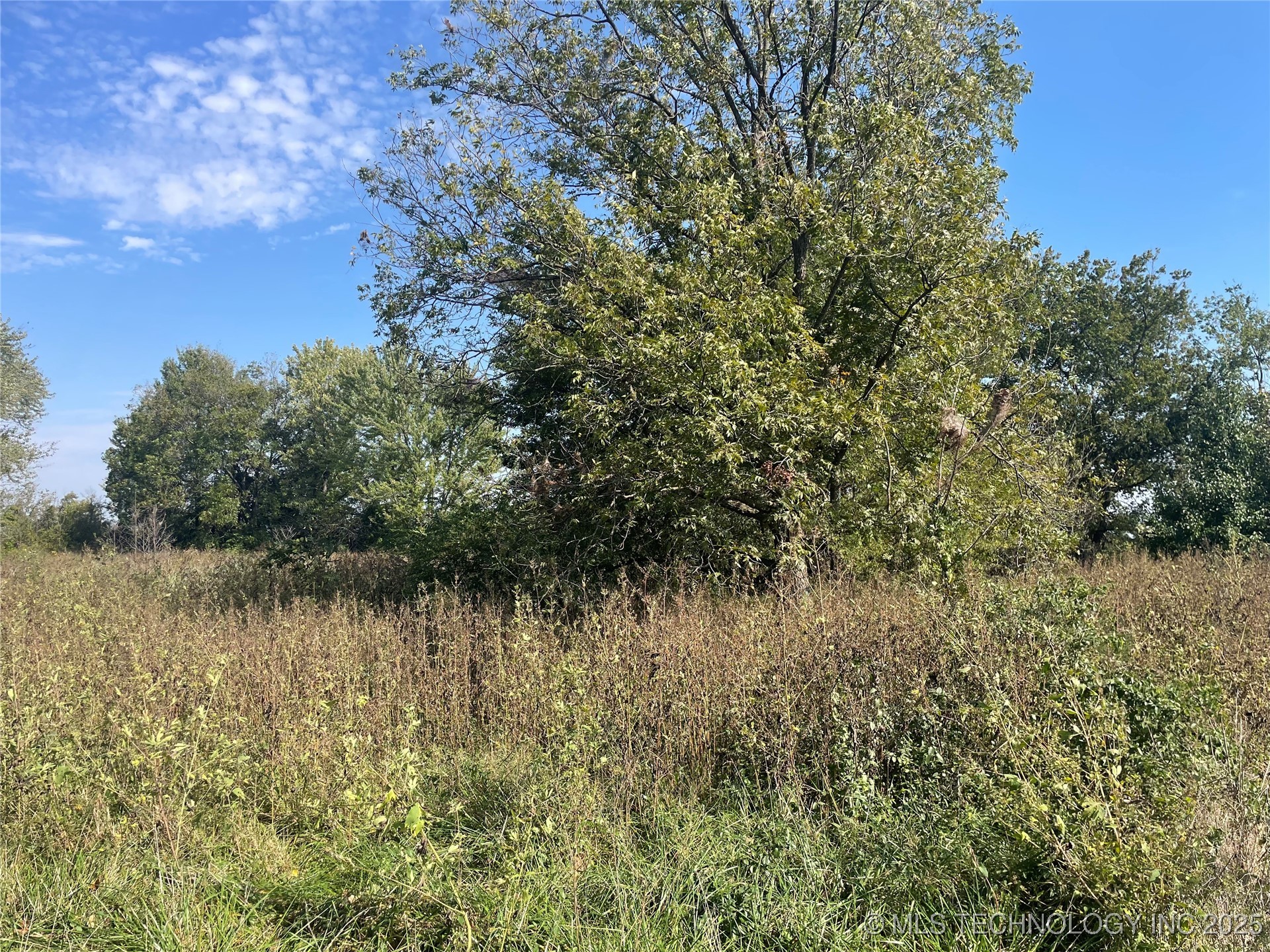 Elmwood Avenue Property Photo 3