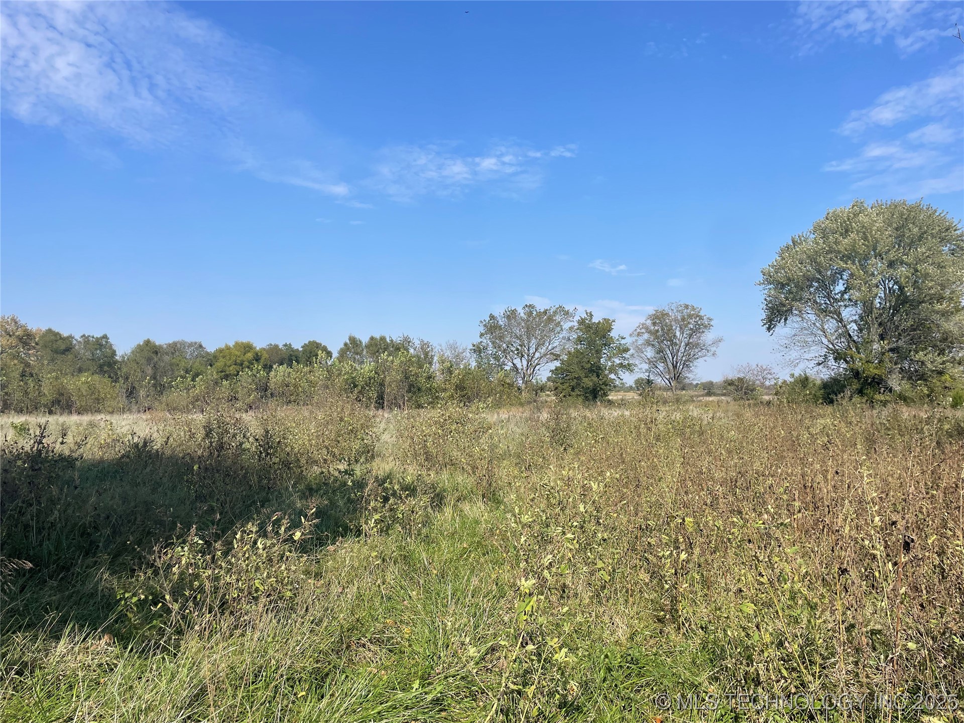 Elmwood Avenue Property Photo 4