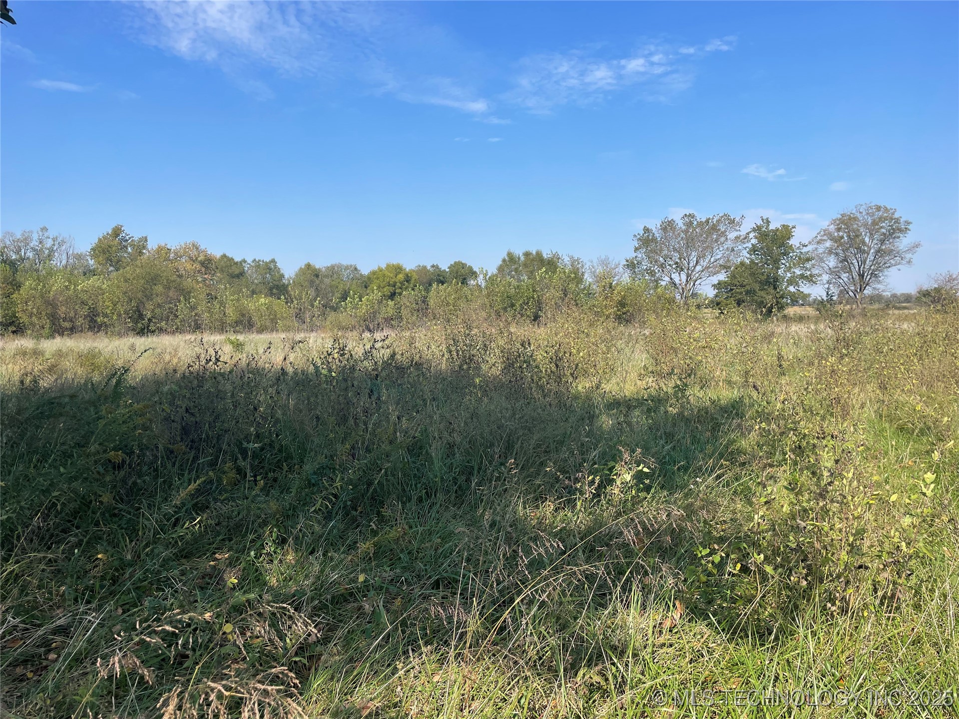 Elmwood Avenue Property Photo 5