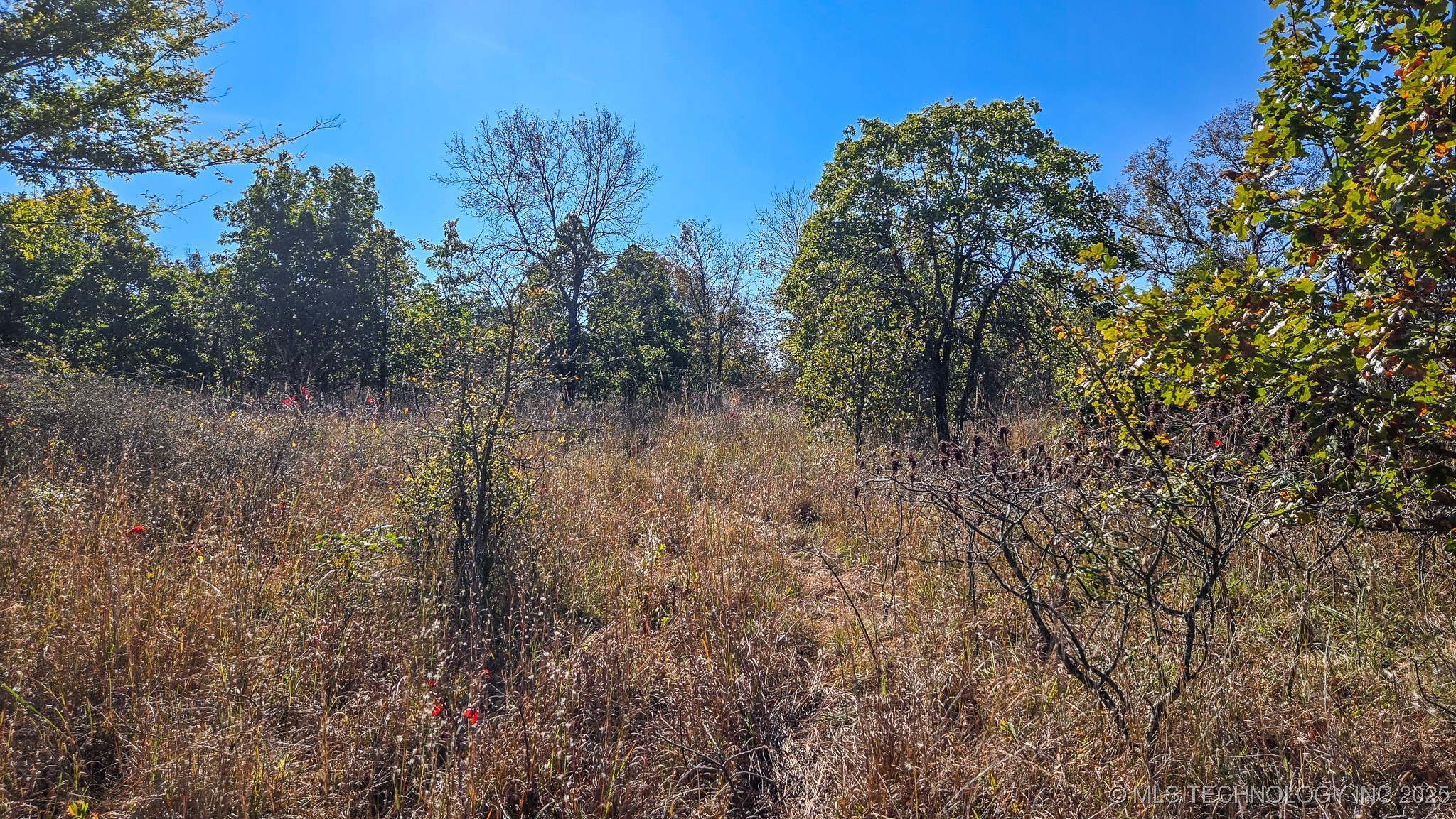 S 4270 Road Property Photo 4