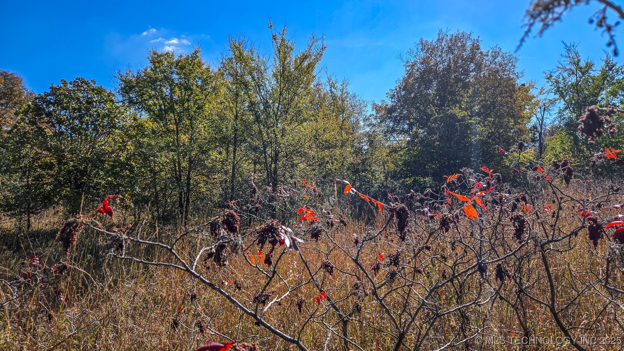 S 4270 Road Property Photo 6