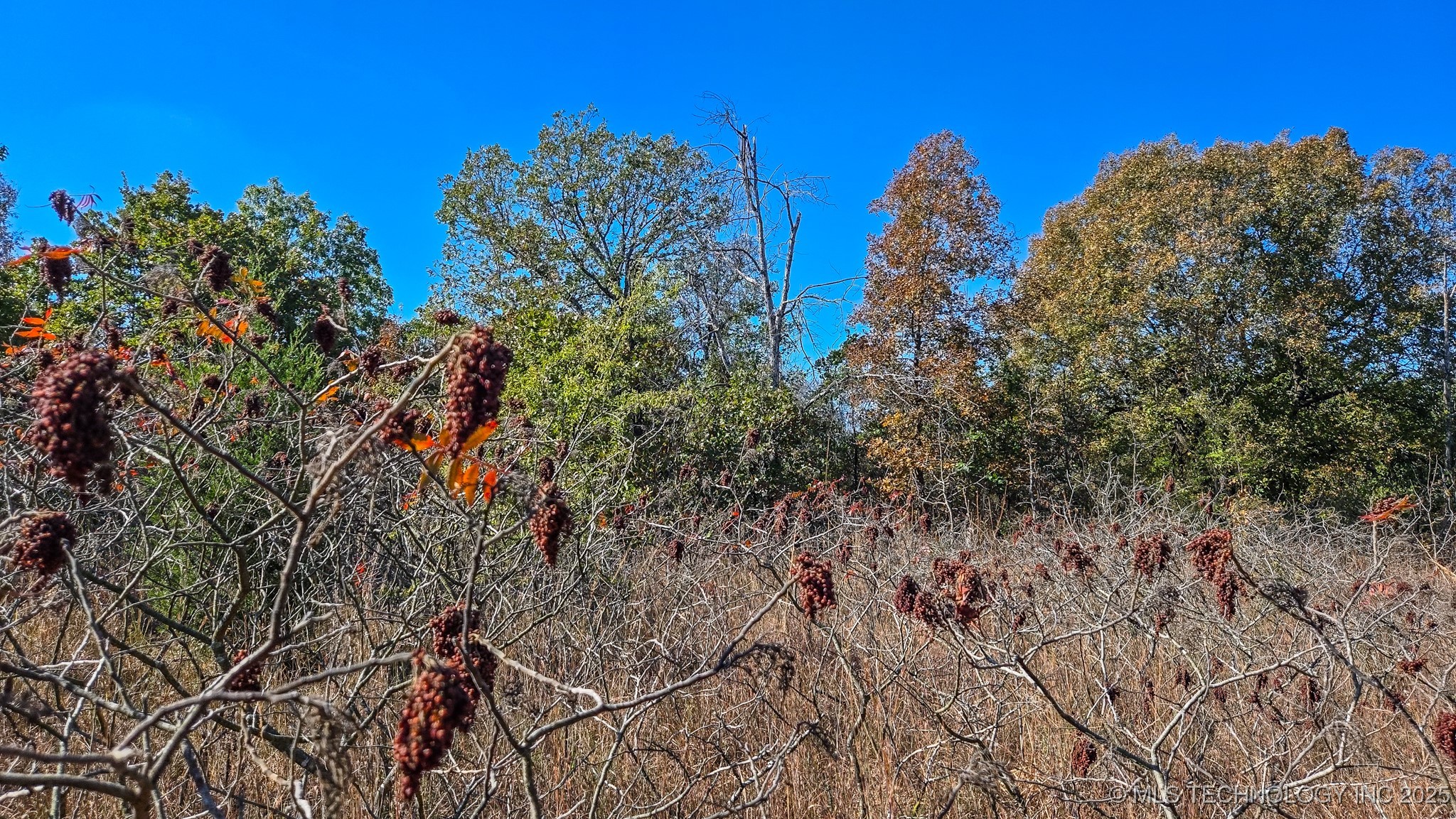 S 4270 Road Property Photo 7