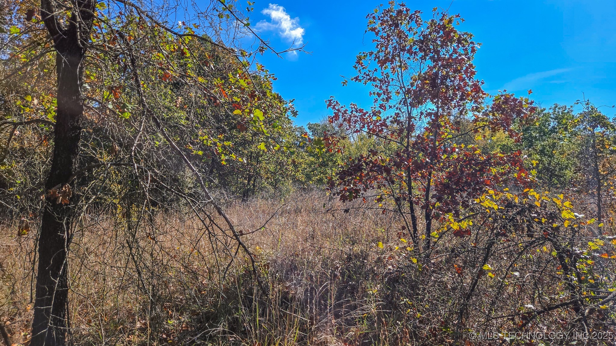 S 4270 Road Property Photo 8