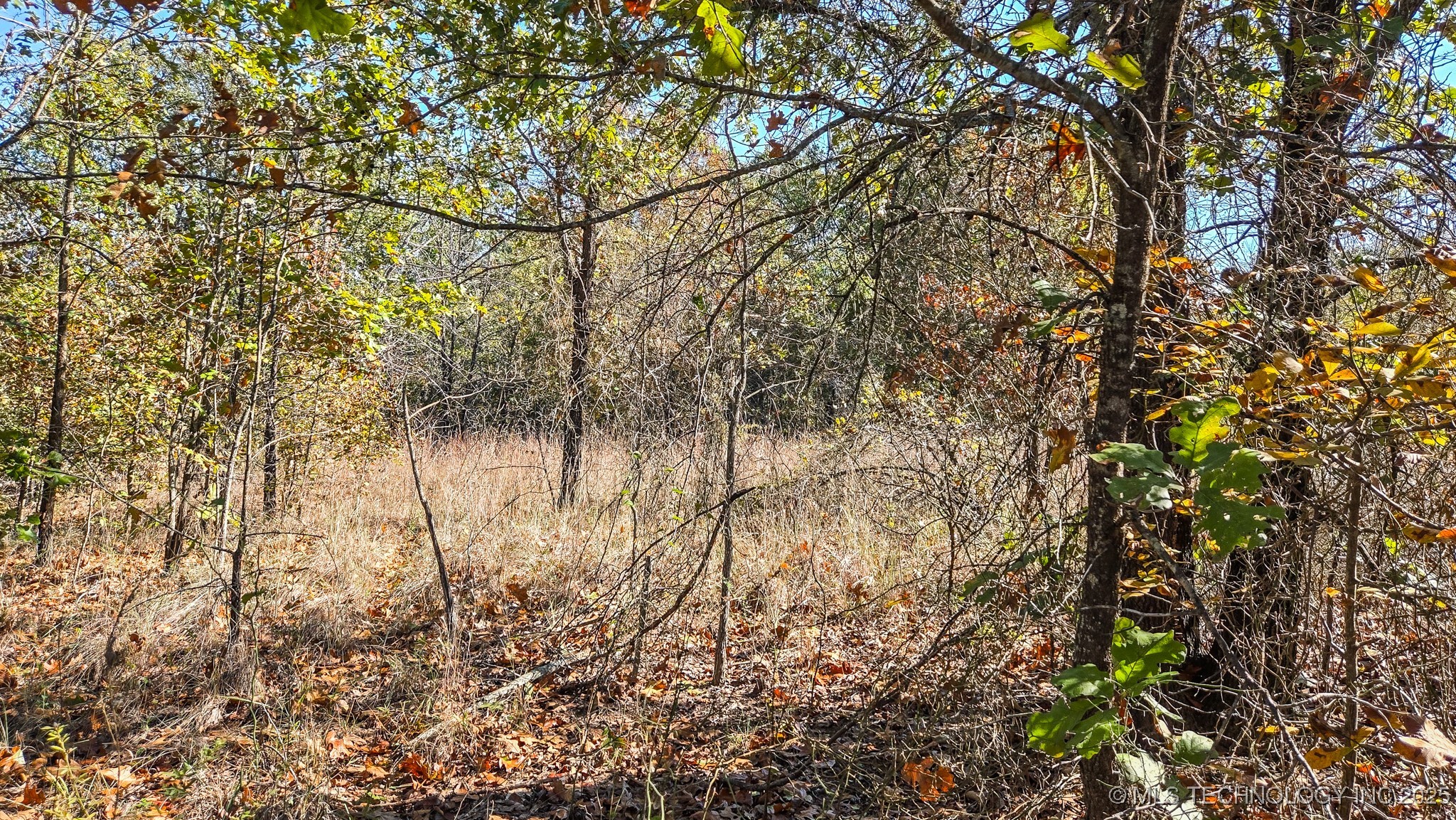 S 4270 Road Property Photo 9