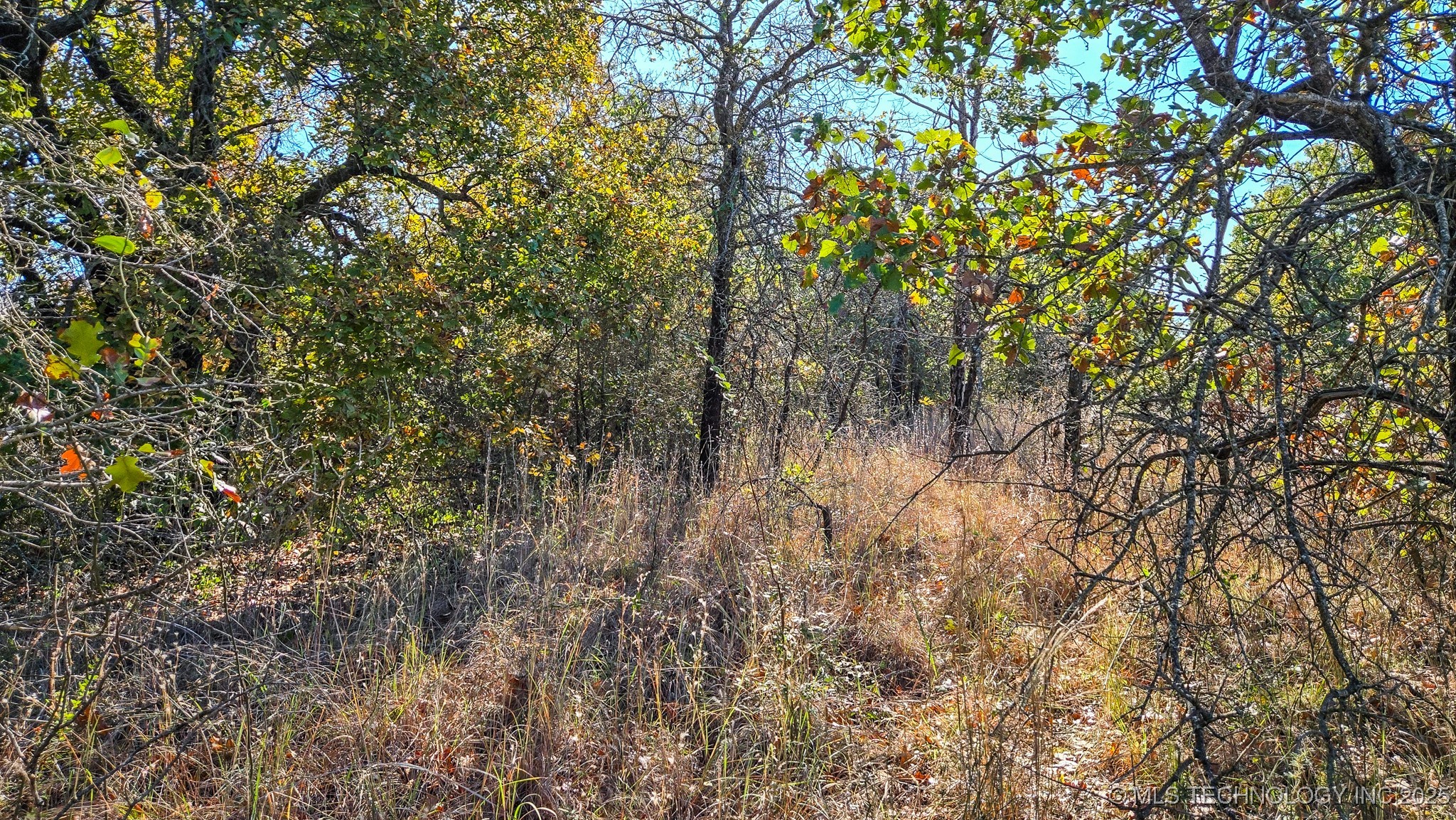 S 4270 Road Property Photo 10