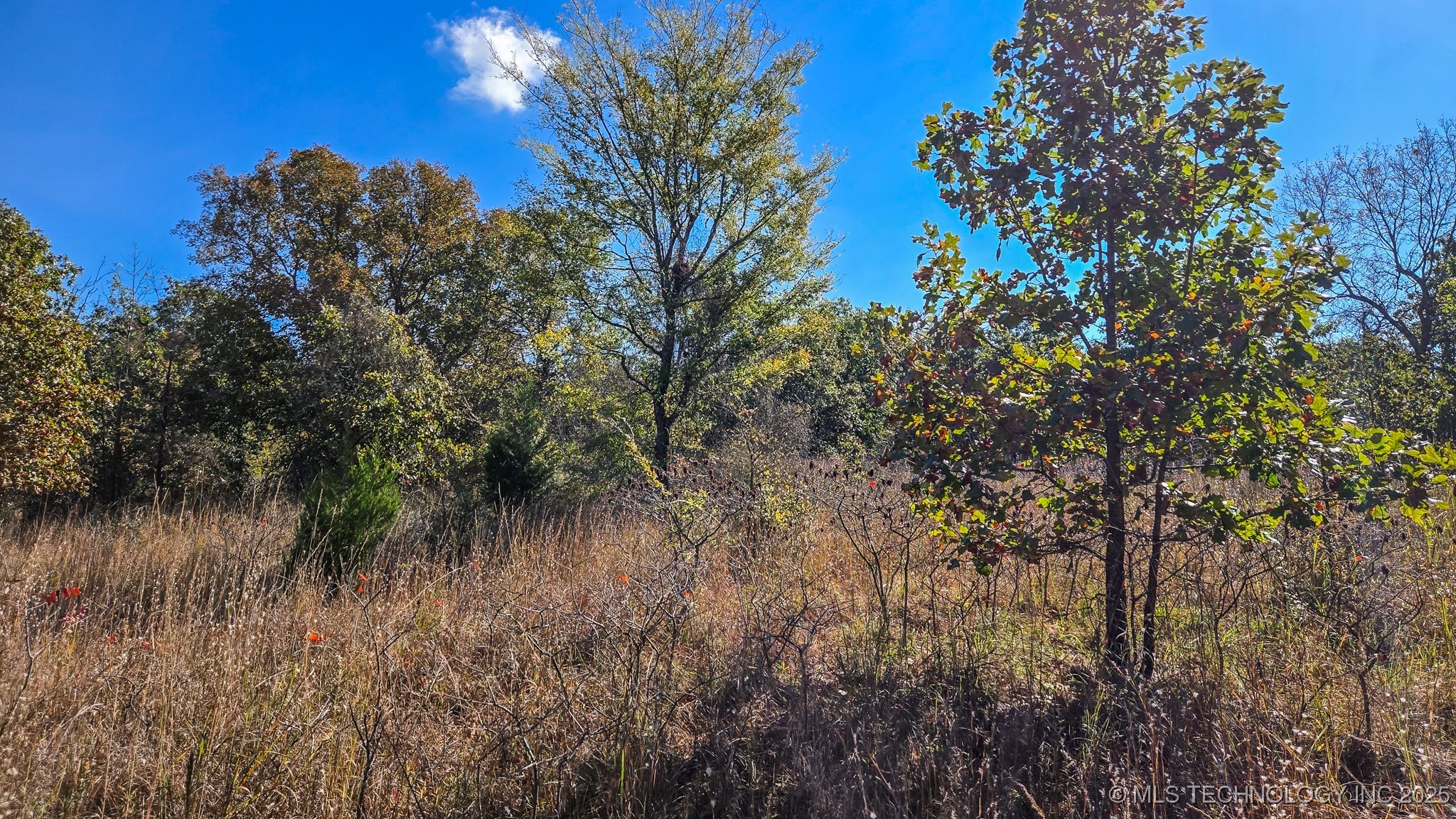 S 4270 Road Property Photo 11