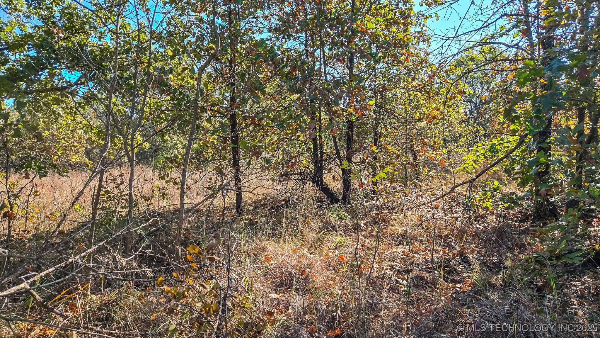 S 4270 Road Property Photo 12