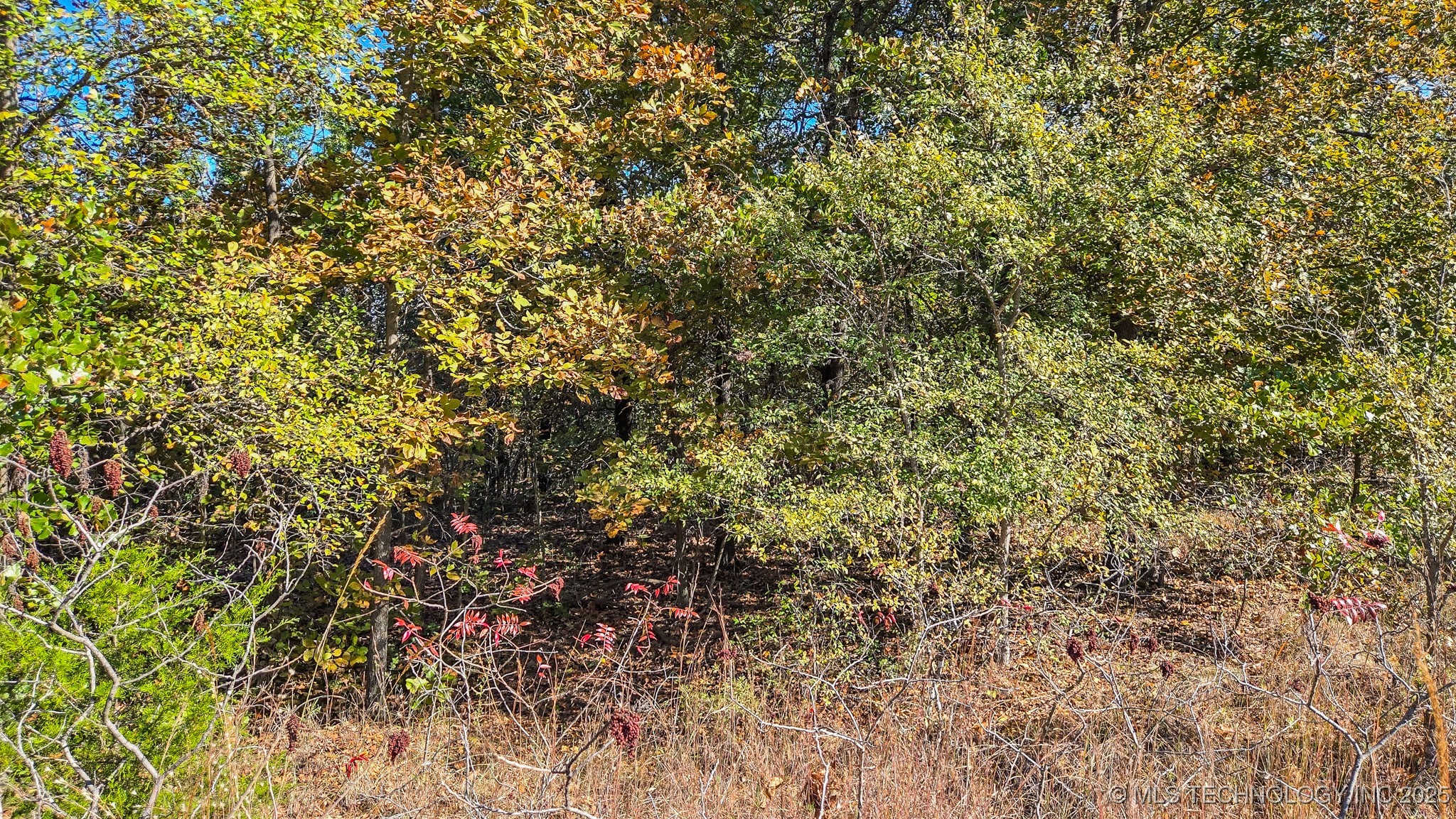 S 4270 Road Property Photo 13