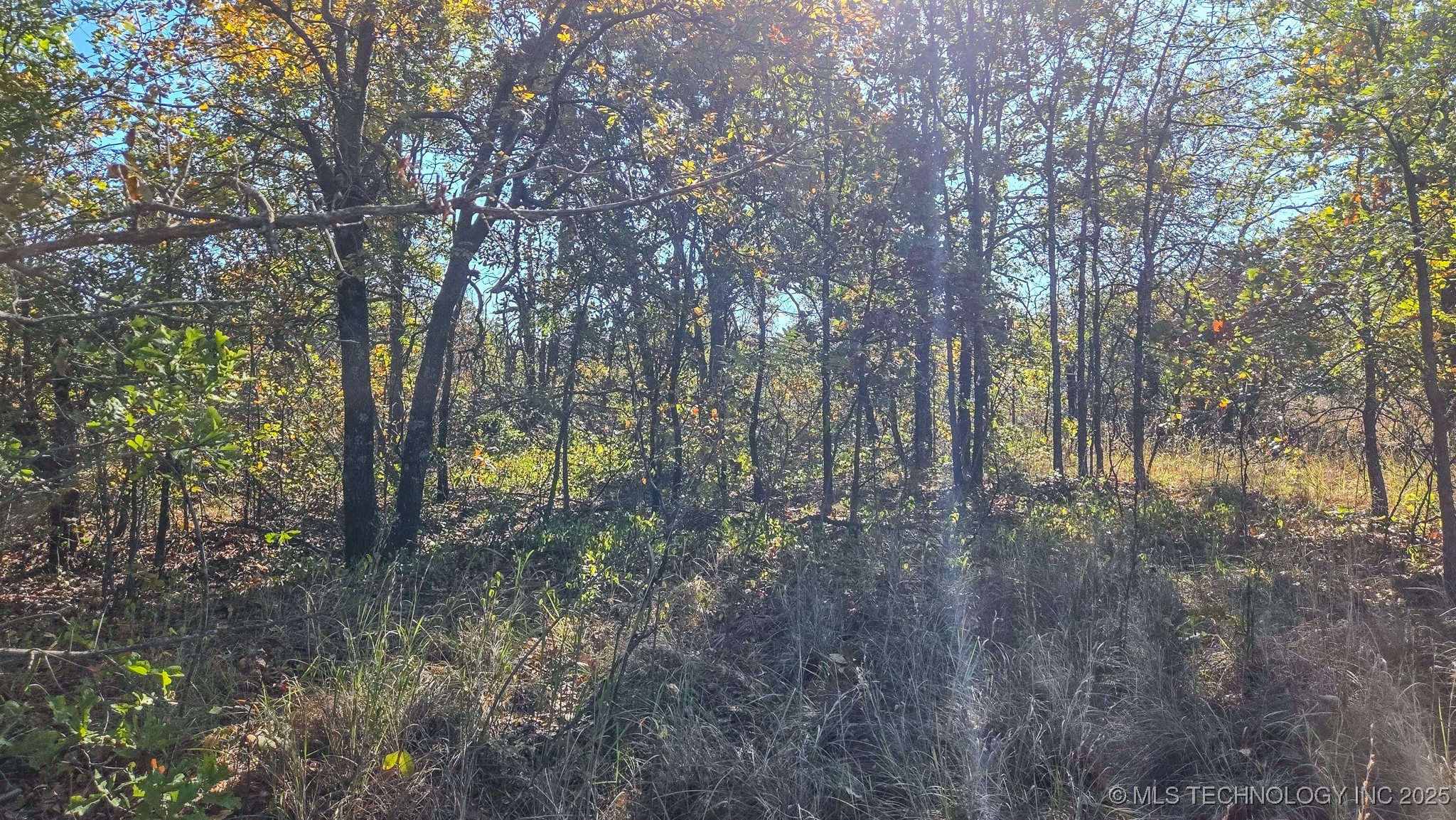 S 4270 Road Property Photo 14