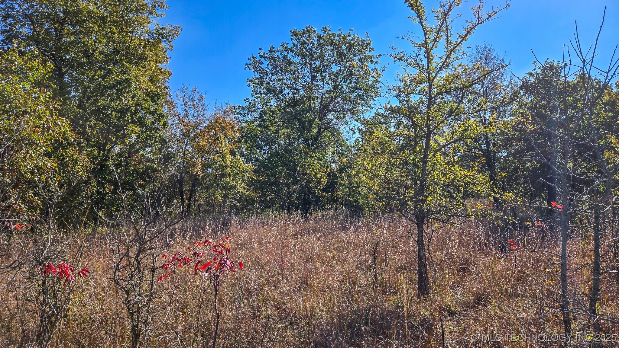 S 4270 Road Property Photo 15