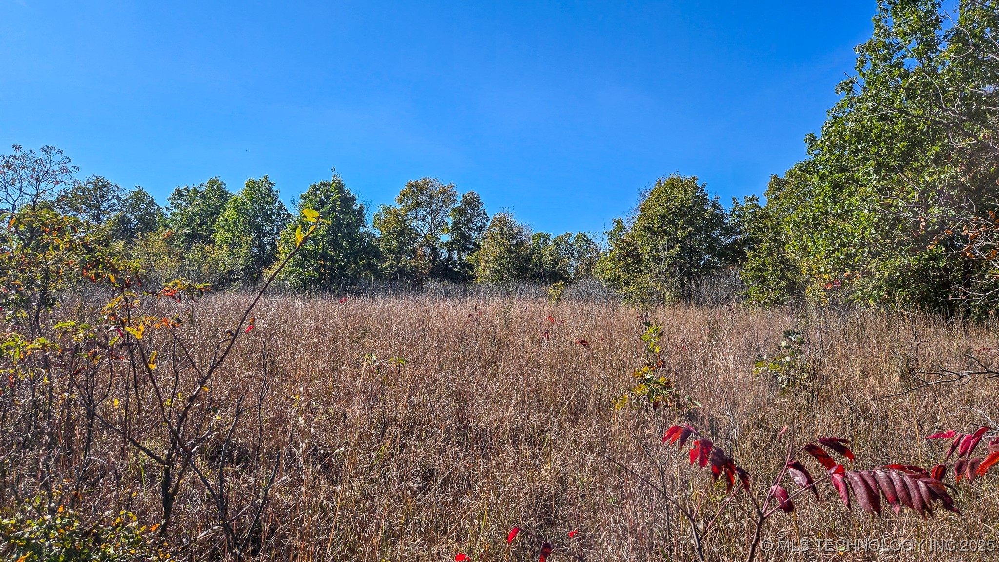 S 4270 Road Property Photo 16