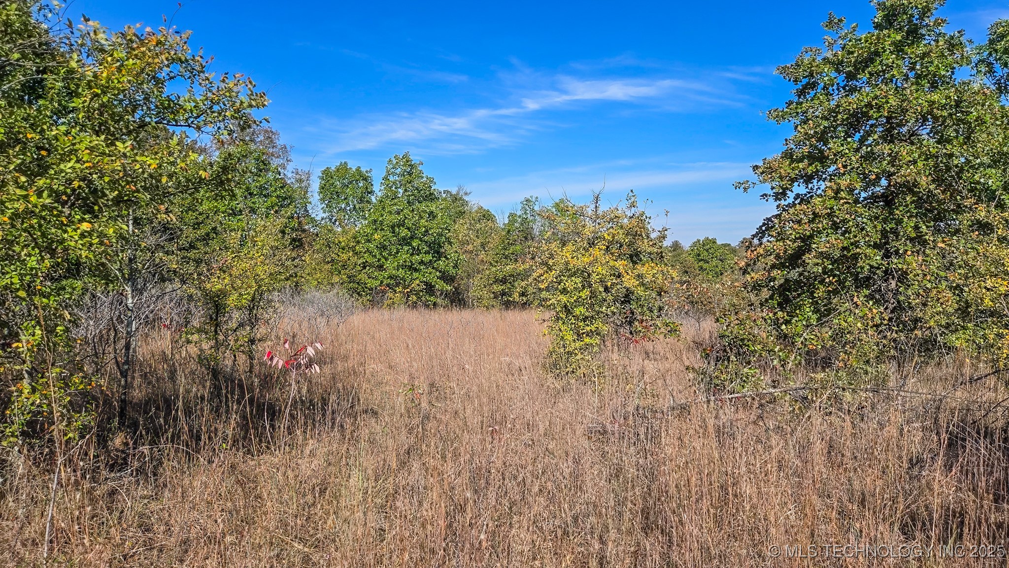 S 4270 Road Property Photo 18