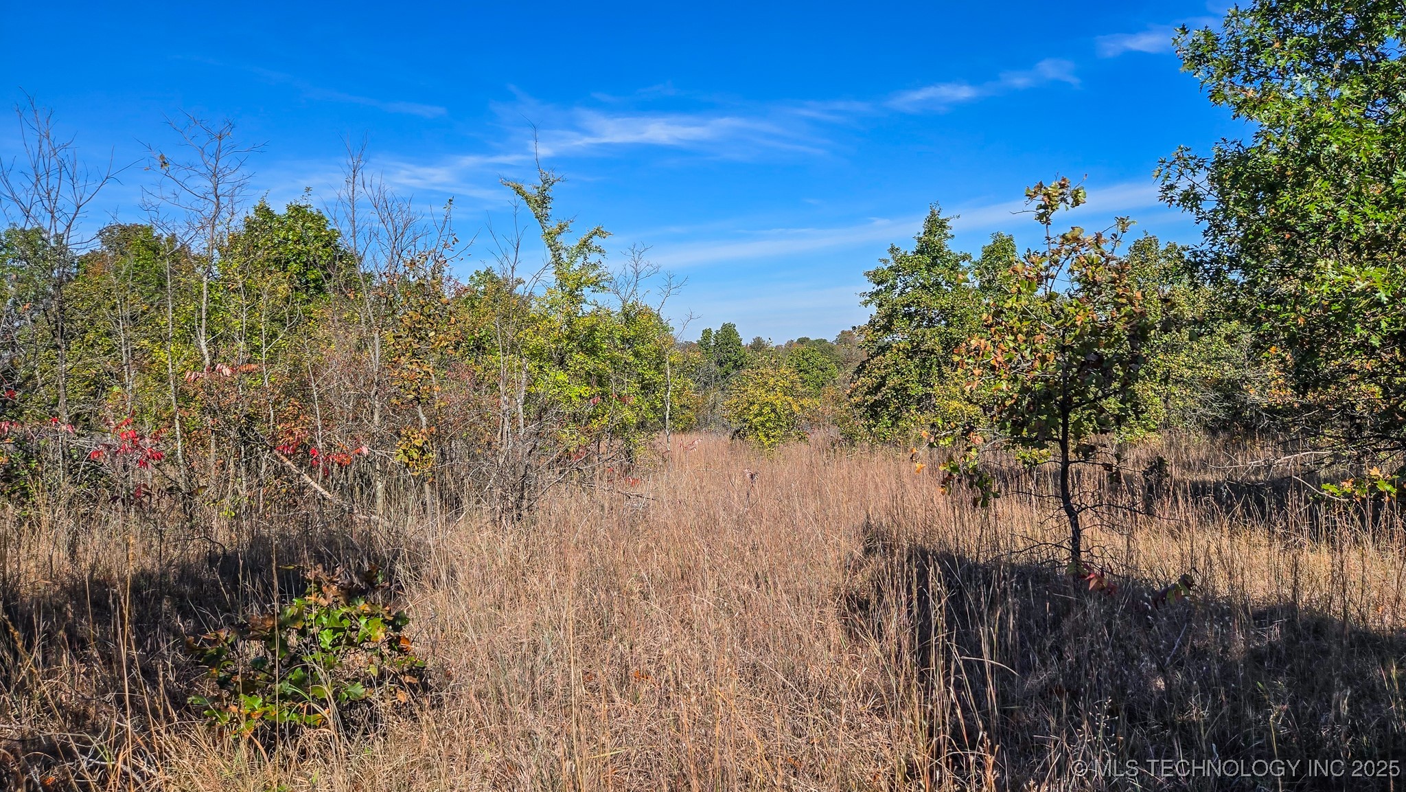 S 4270 Road Property Photo 19