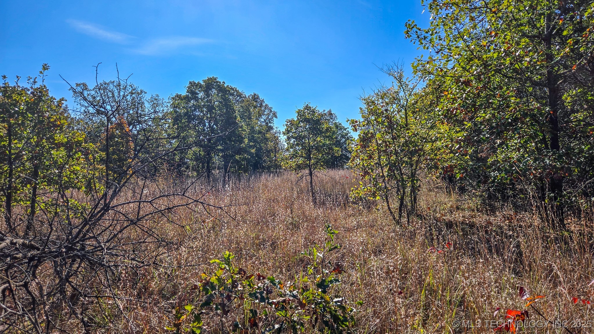 S 4270 Road Property Photo 20