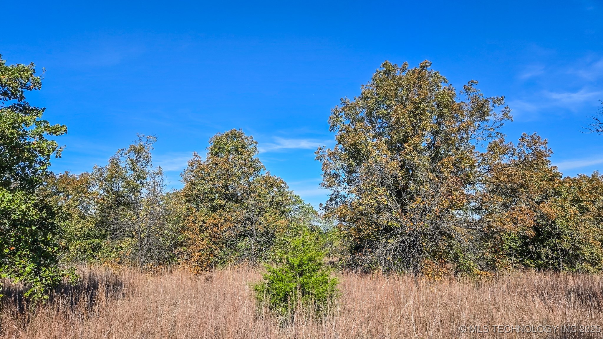 S 4270 Road Property Photo 24