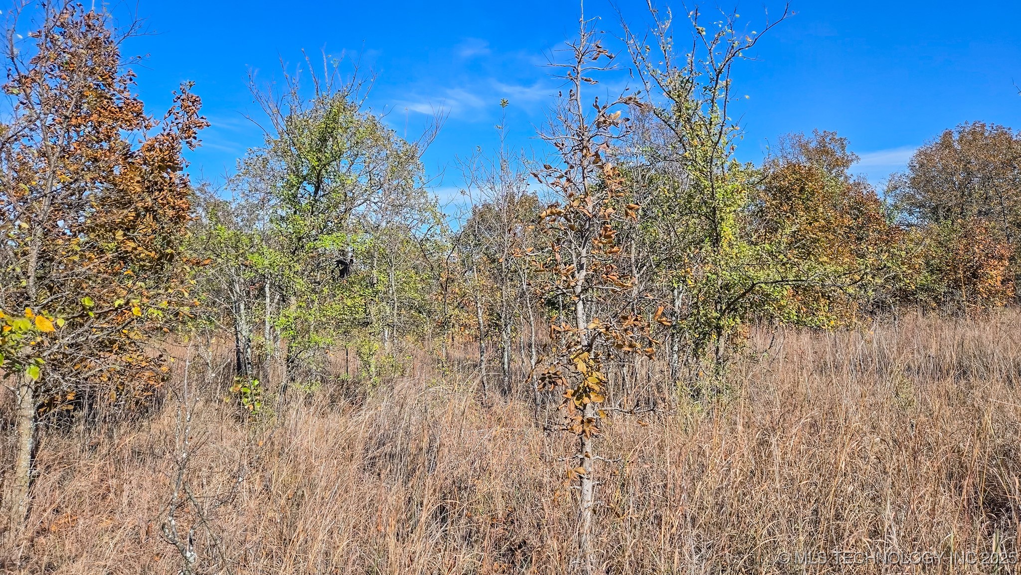 S 4270 Road Property Photo 27