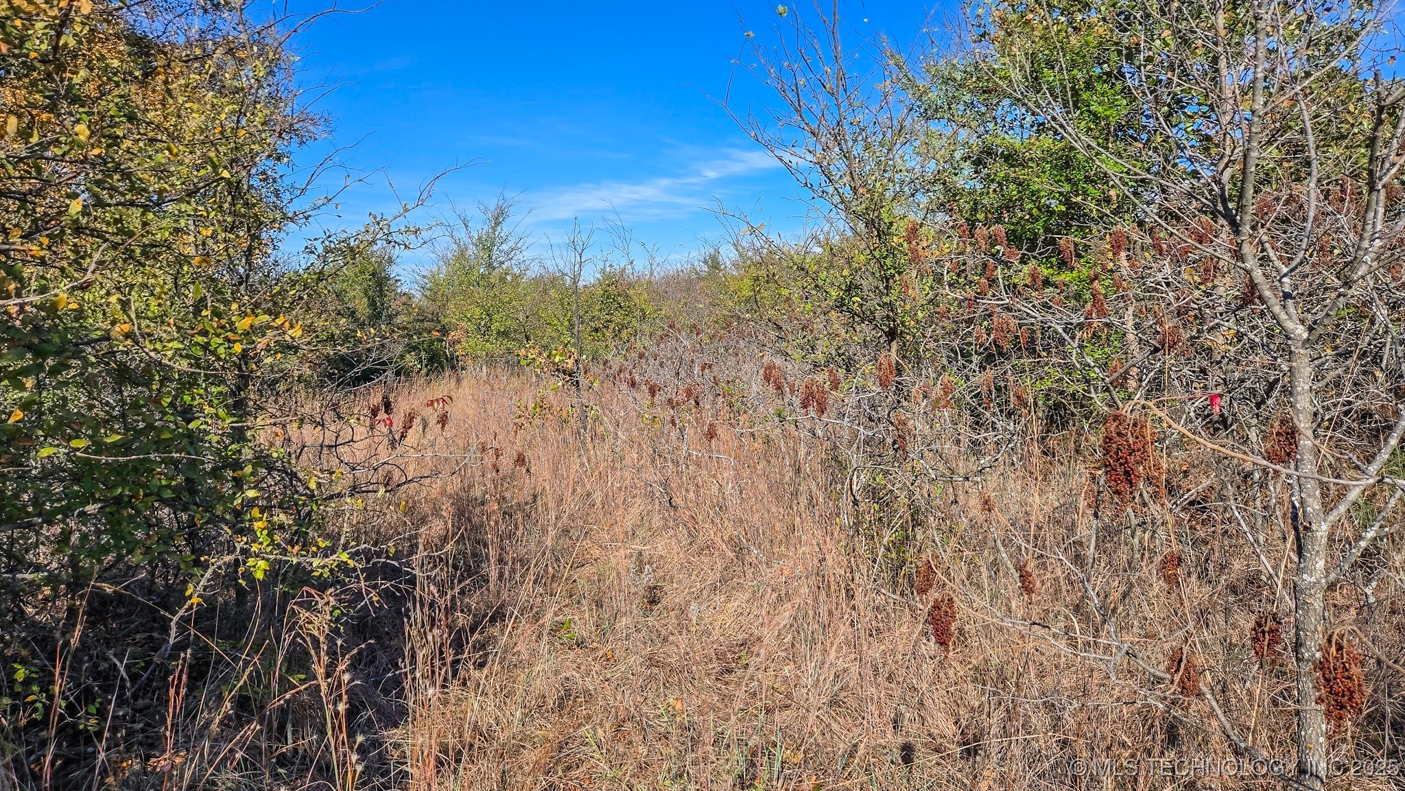 S 4270 Road Property Photo 31